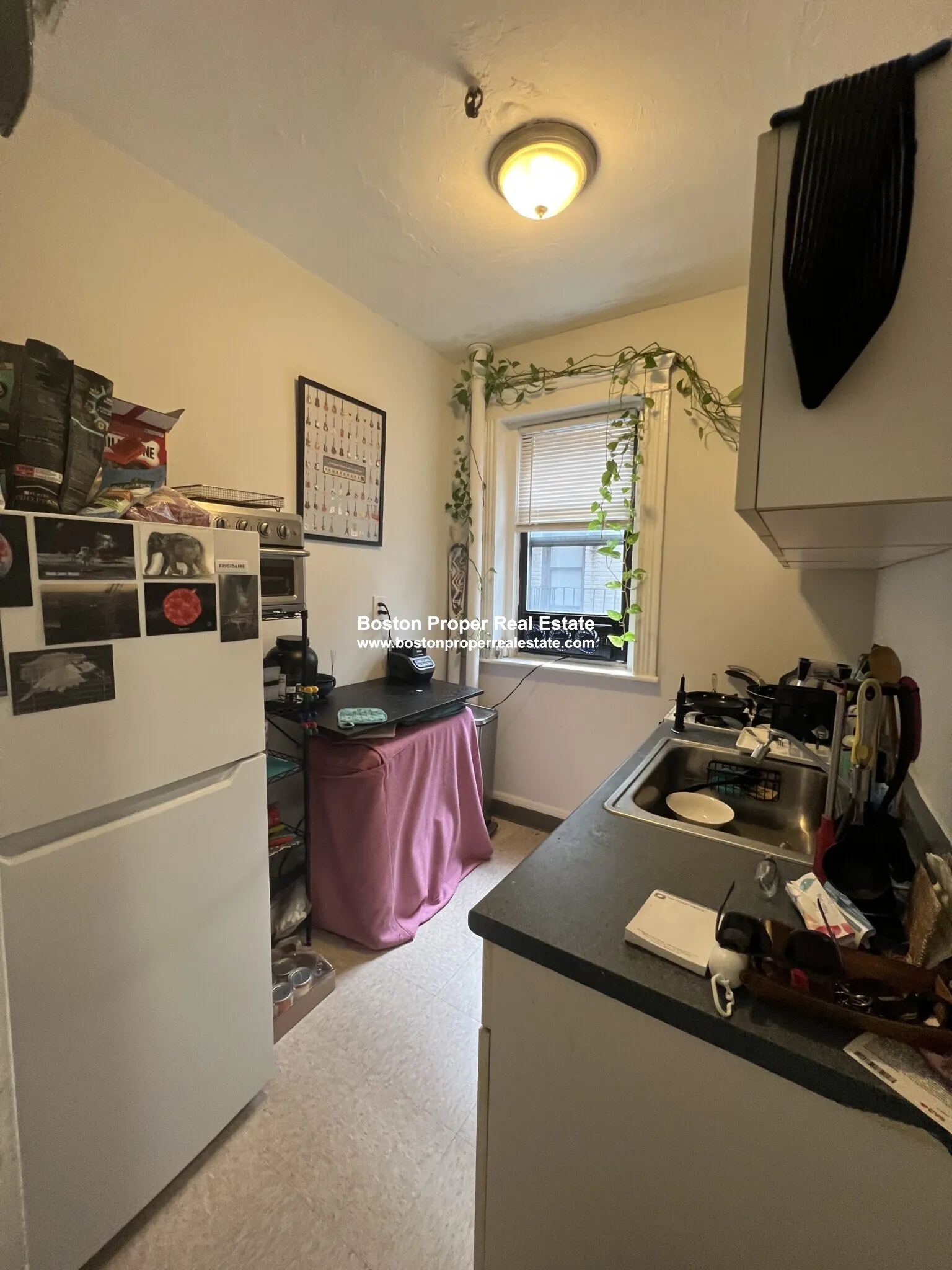 11 Peterborough St, Fenway