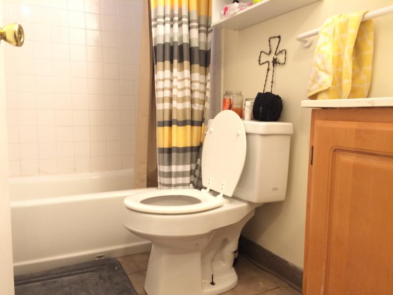 1 bed, 1 bath apartment for rent at 1610 Massachusetts Ave Unit B3, Harvard Square — photo 2 of 7