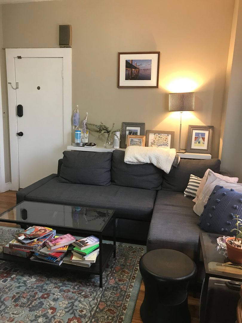 1 bed, 1 bath apartment for rent at 260 Summer St Unit 1, Spring Hill — photo 2 of 10