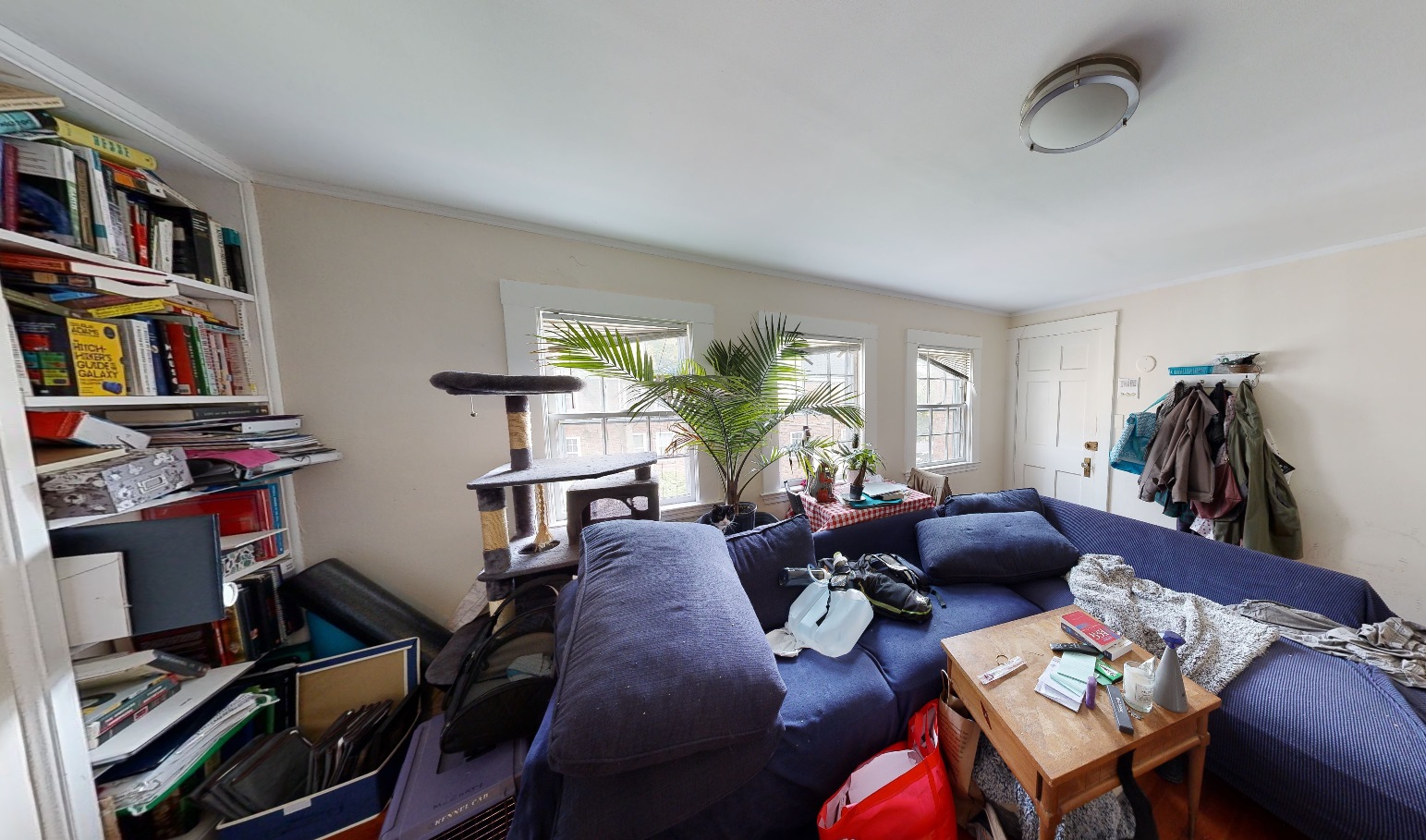1 bed, 1 bath apartment for rent at 38 Gibson St Unit 6DR, West Cambridge — photo 2 of 9