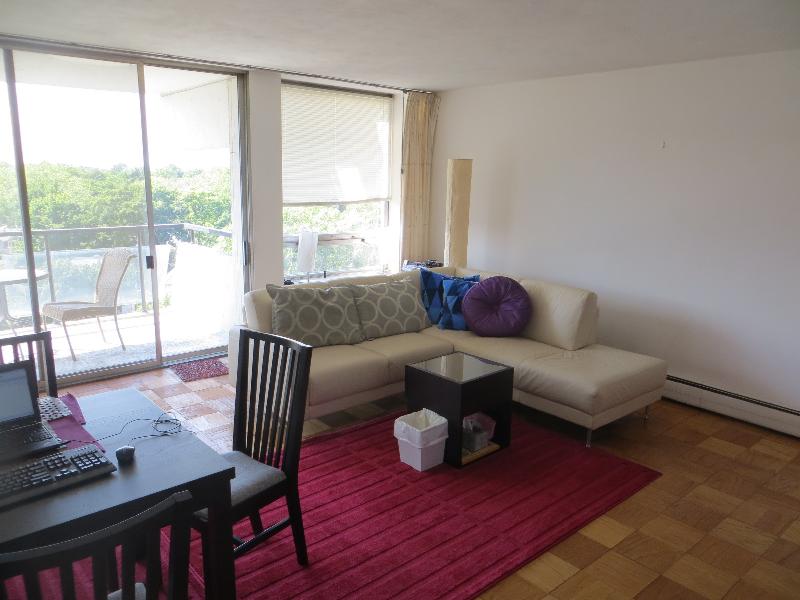 1 bed, 1 bath apartment for rent at 60 Babcock St Unit 84, Brookline Hills — photo 4 of 16