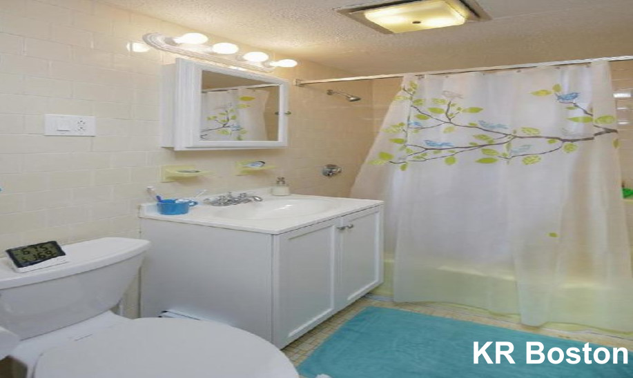 1 bed, 1 bath apartment for rent at 20 Armington St Unit 20,,, Allston — photo 3 of 4