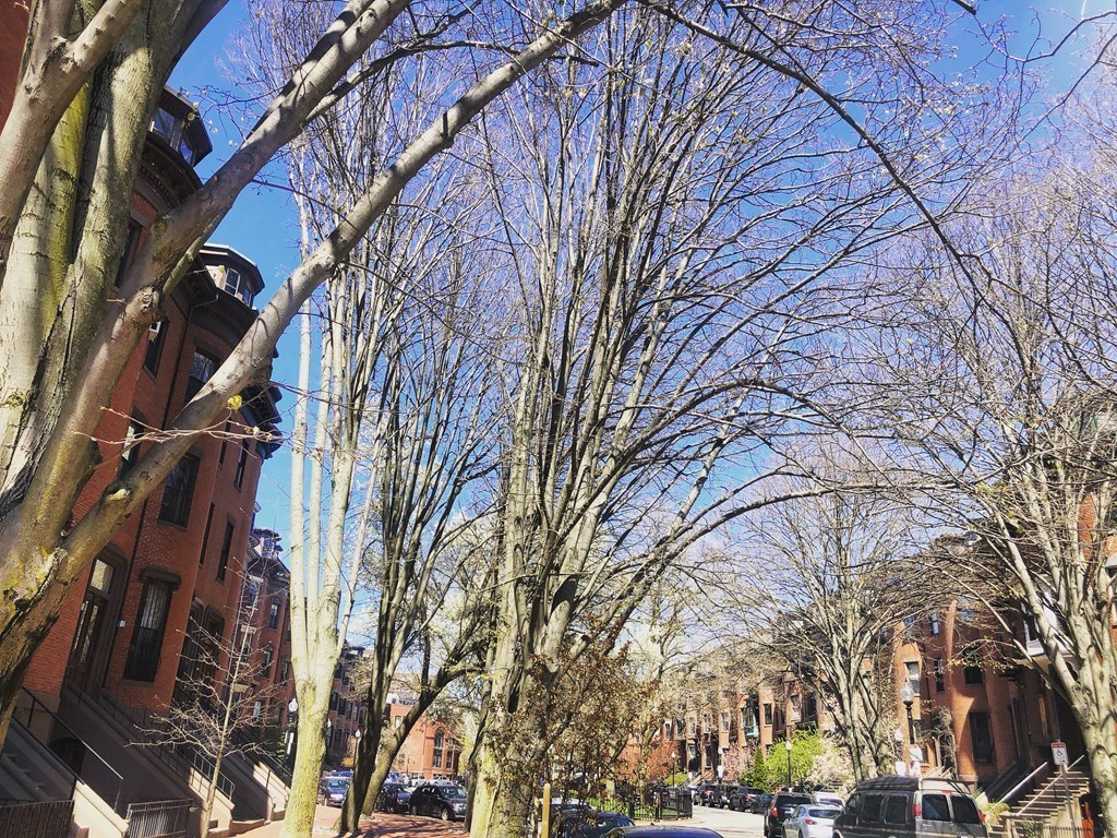 41 Worcester Sq, South End