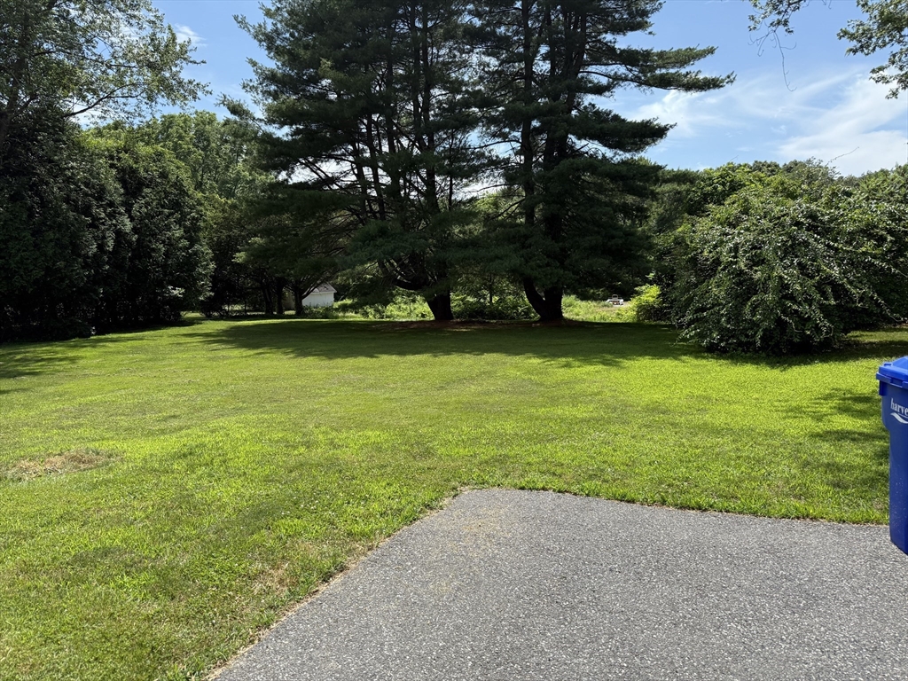 146 Hayden Rowe, Hopkinton