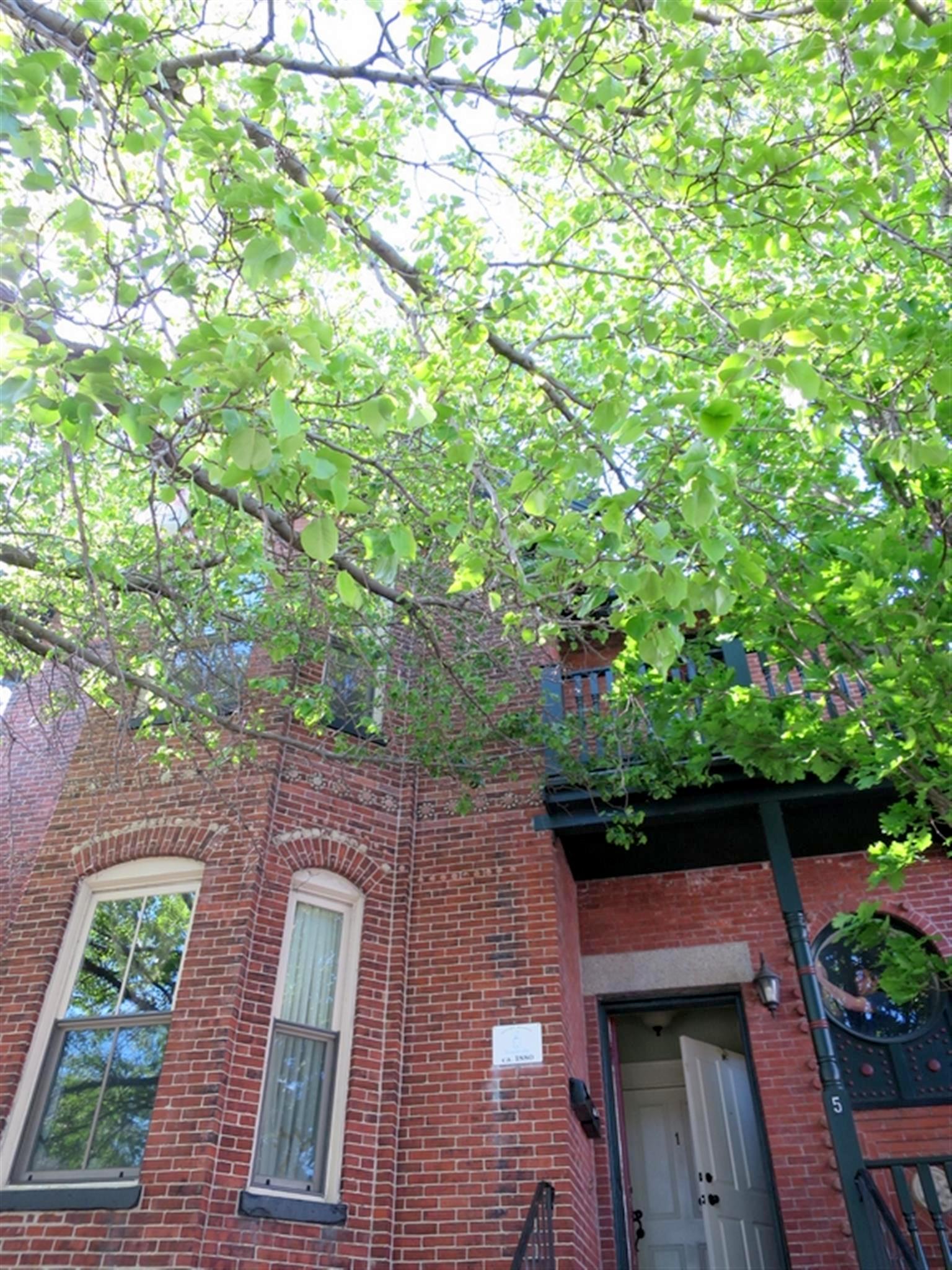 4.5 bed, 2 bath apartment for rent at 5 Prospect Hill Ave Unit 2, Prospect Hill — photo 17 of 17