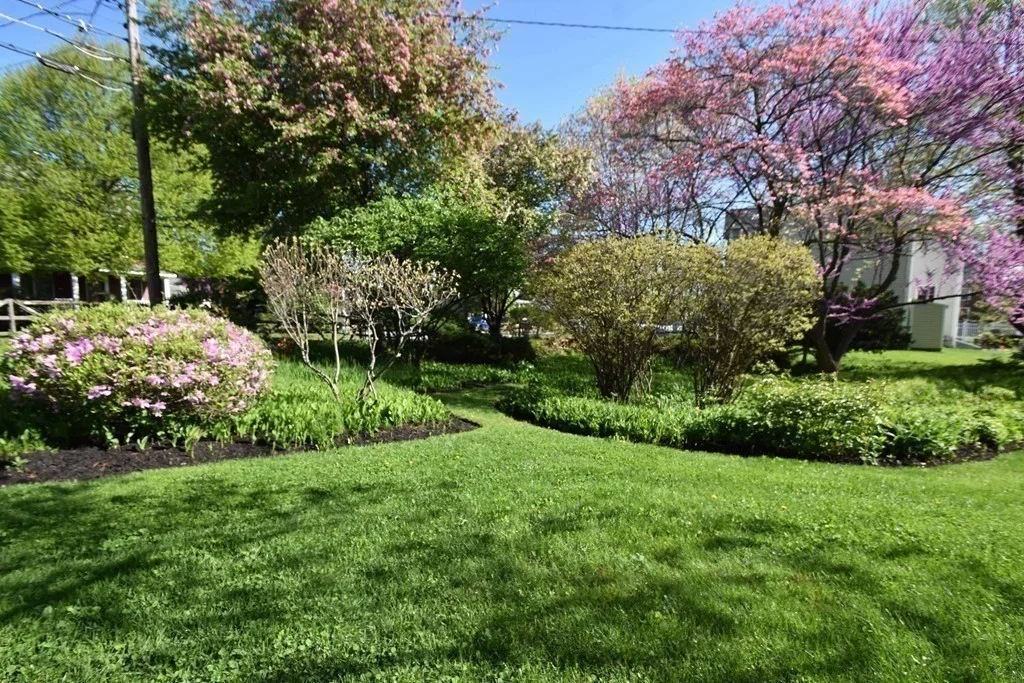 36 Evergreen Ave, Newton