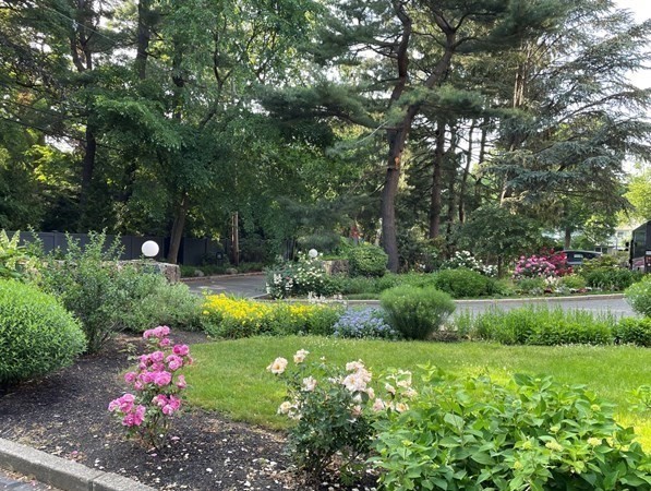 22 Chestnut Pl, Brookline