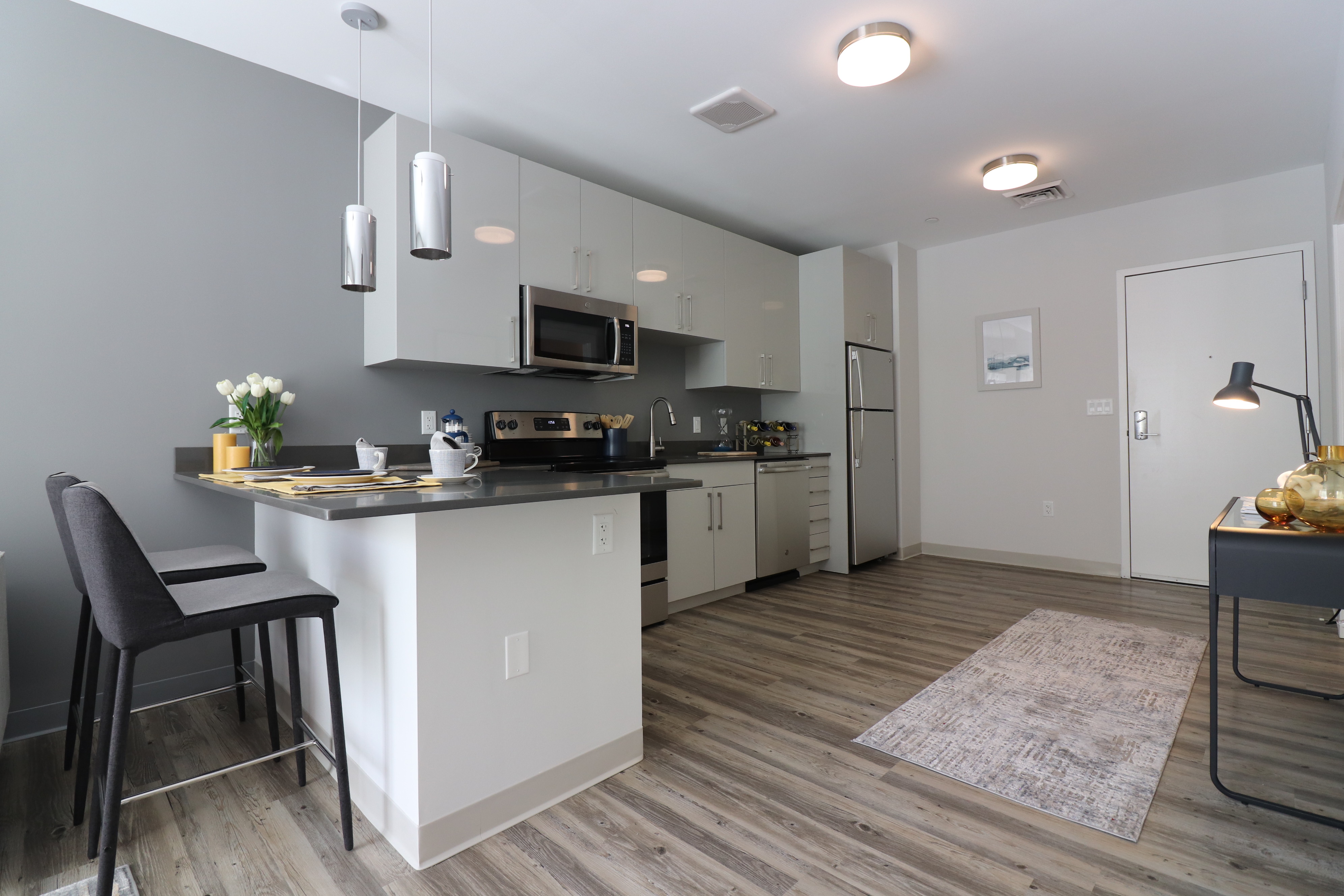 1 bed, 1 bath apartment for rent at 175 Washington St Unit 1111OE, Brighton — photo 4 of 15