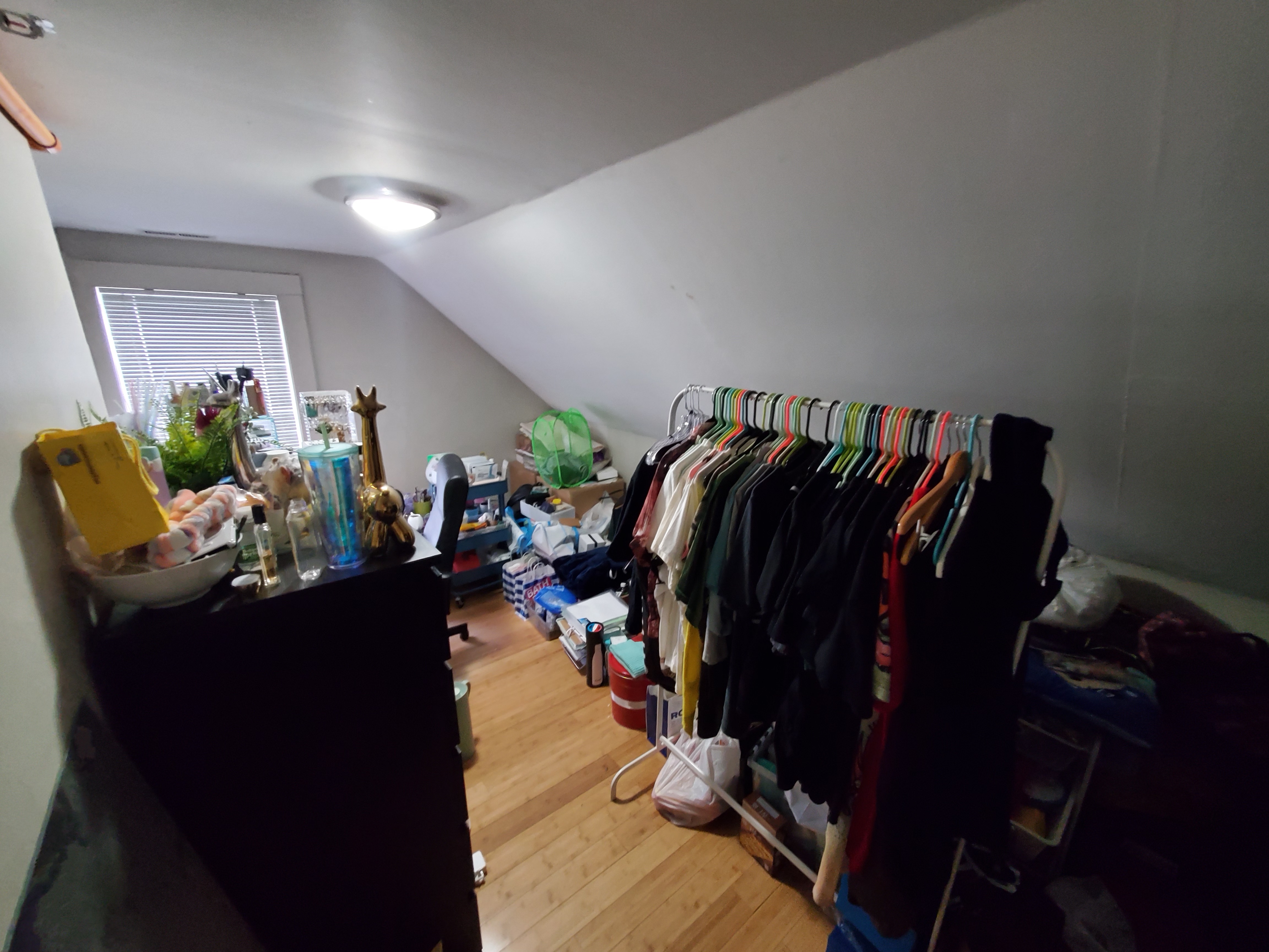 5 bed, 2 bath apartment for rent at 20 Greylock Rd Unit 1, Allston — photo 13 of 14