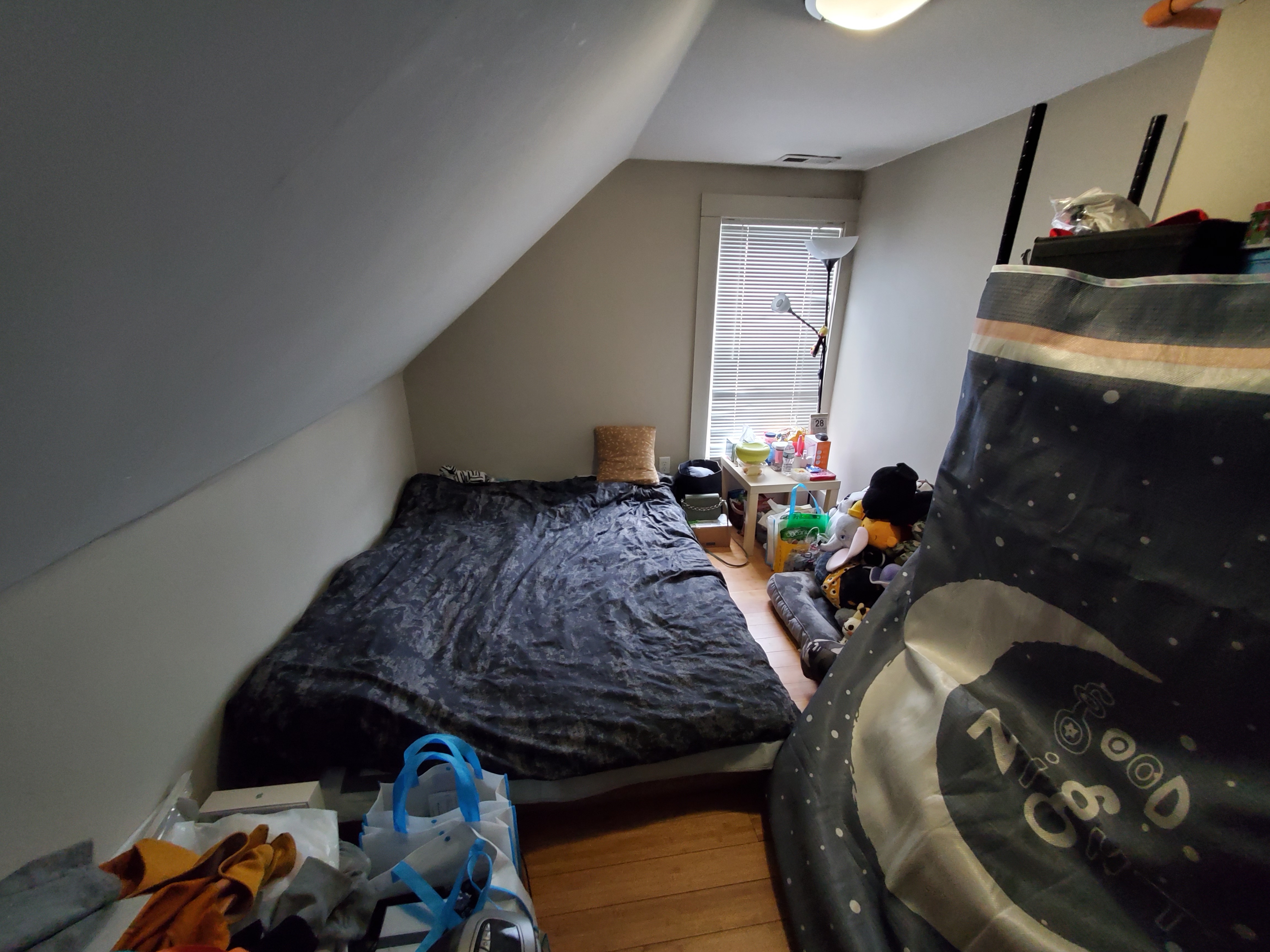 5 bed, 2 bath apartment for rent at 20 Greylock Rd Unit 1, Allston — photo 14 of 14