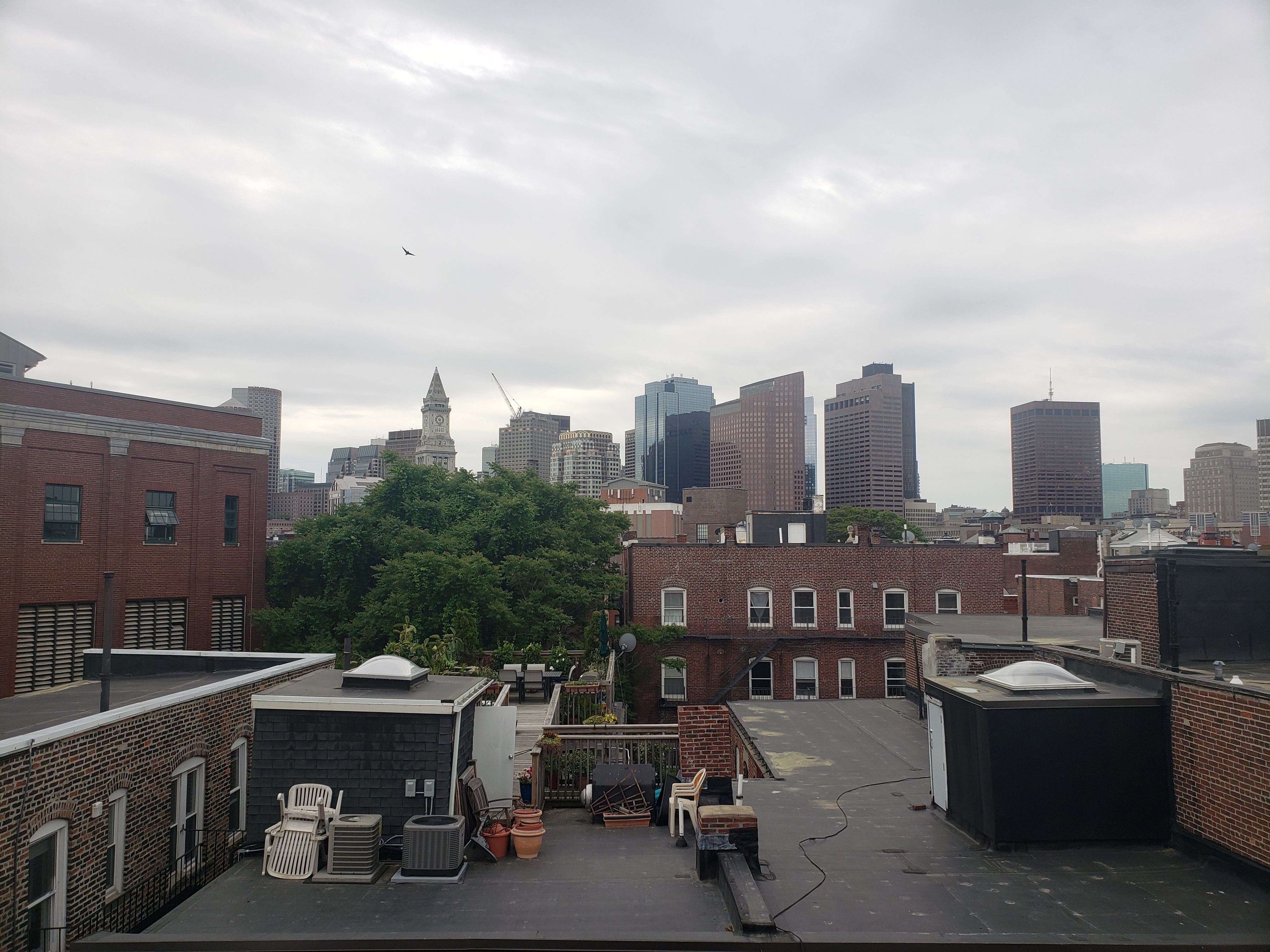 2 bed, 1 bath apartment for rent at 34 Clark St Unit 10, North End — photo 13 of 21