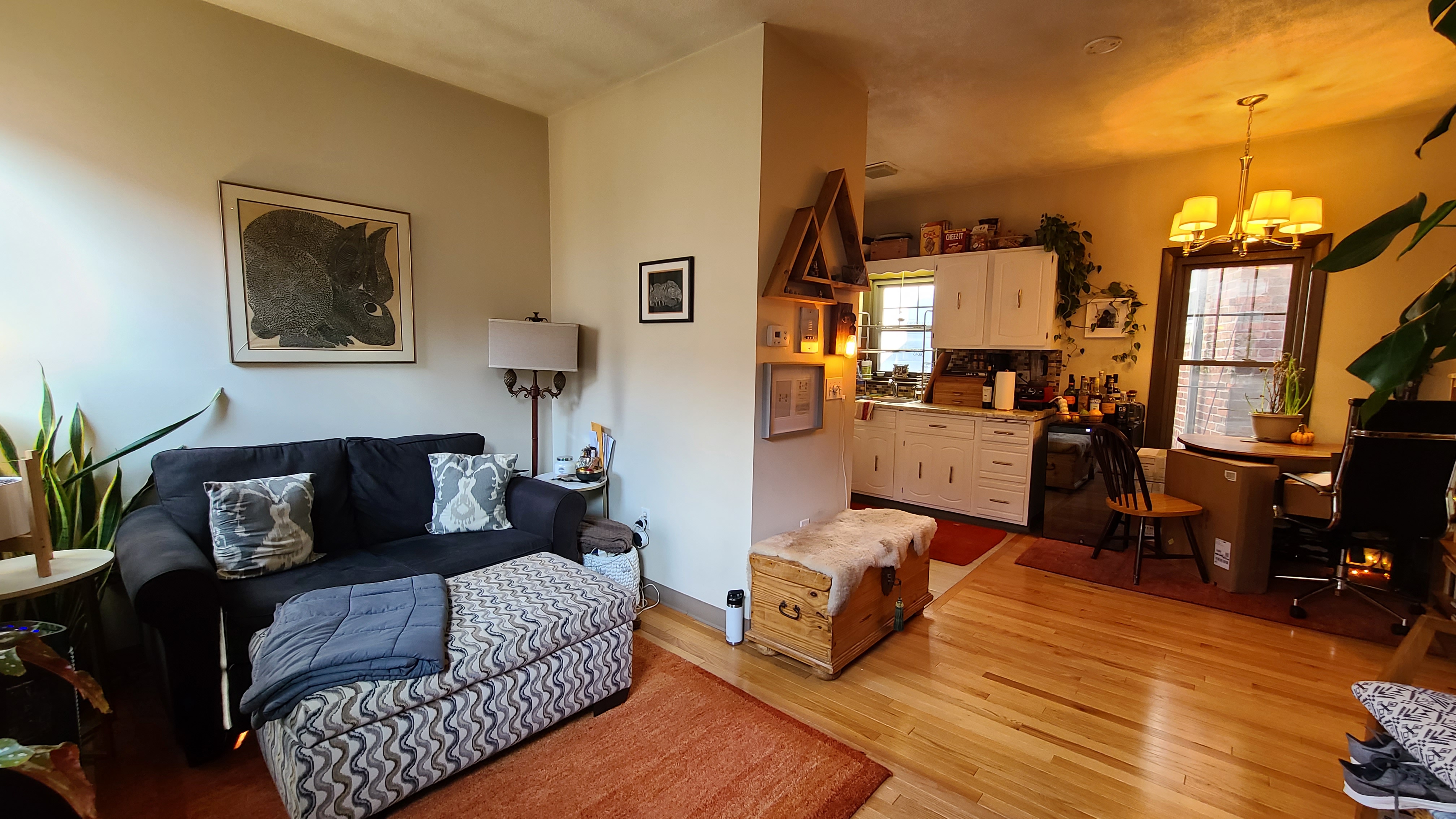1 bed, 1 bath apartment for rent at 5 Charter St Unit 8, North End — photo 5 of 11