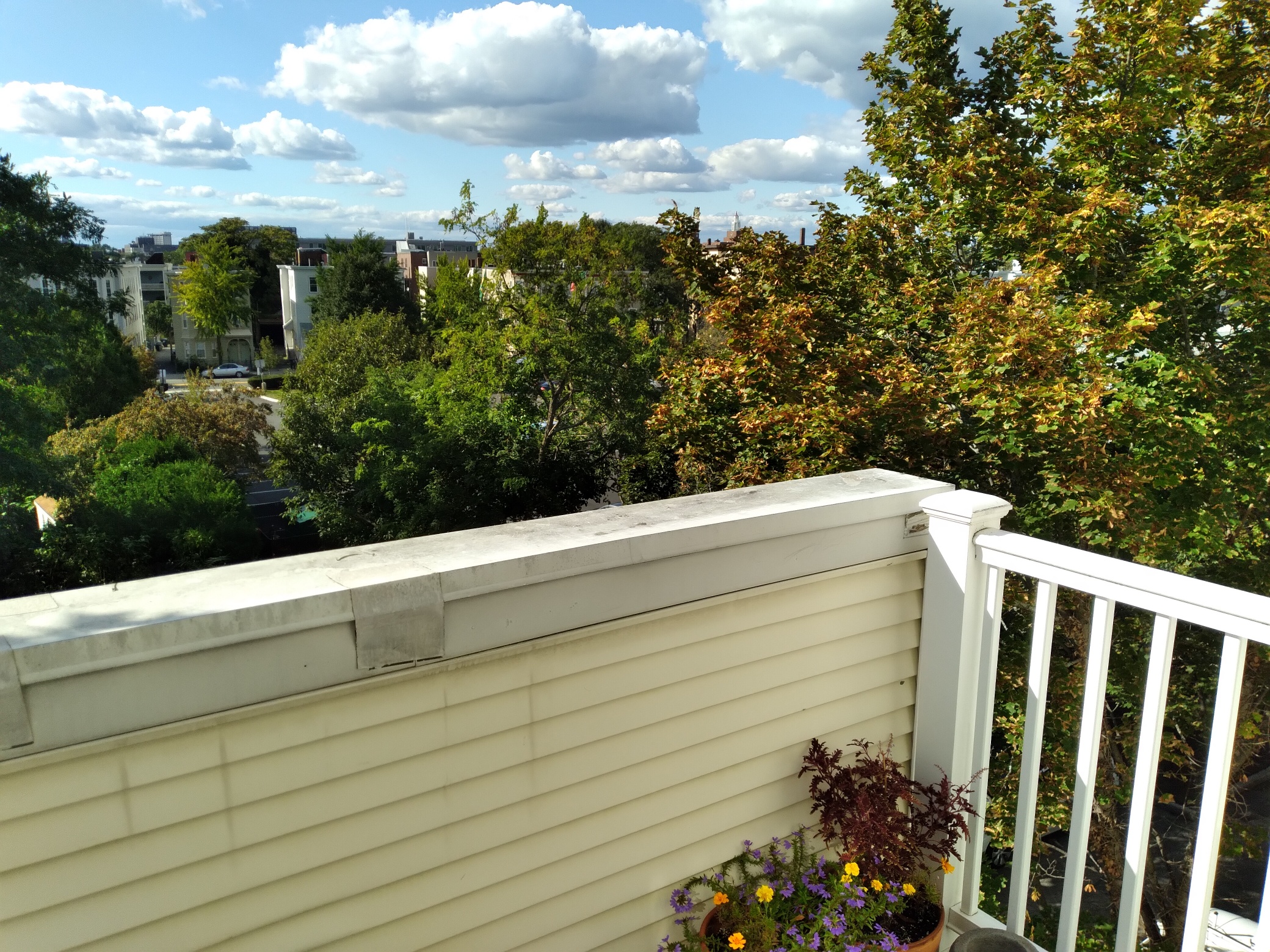2 bed, 1.5 bath apartment for rent at 218 Thorndike Pl Unit 305, Kendall Square — photo 5 of 21
