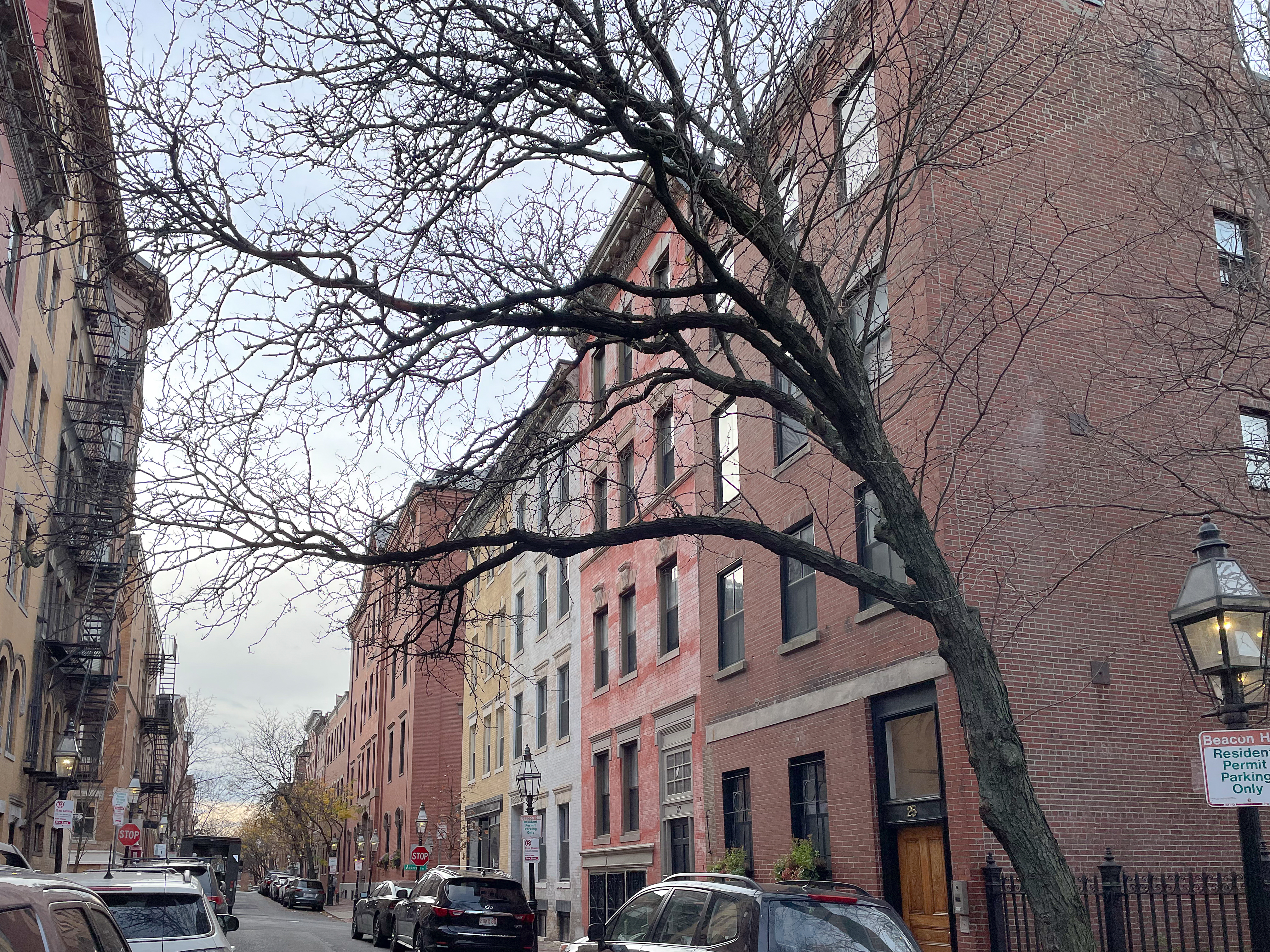 1 bed, 1 bath apartment for rent at 27 Phillips St Unit 8, Beacon Hill — photo 27 of 27