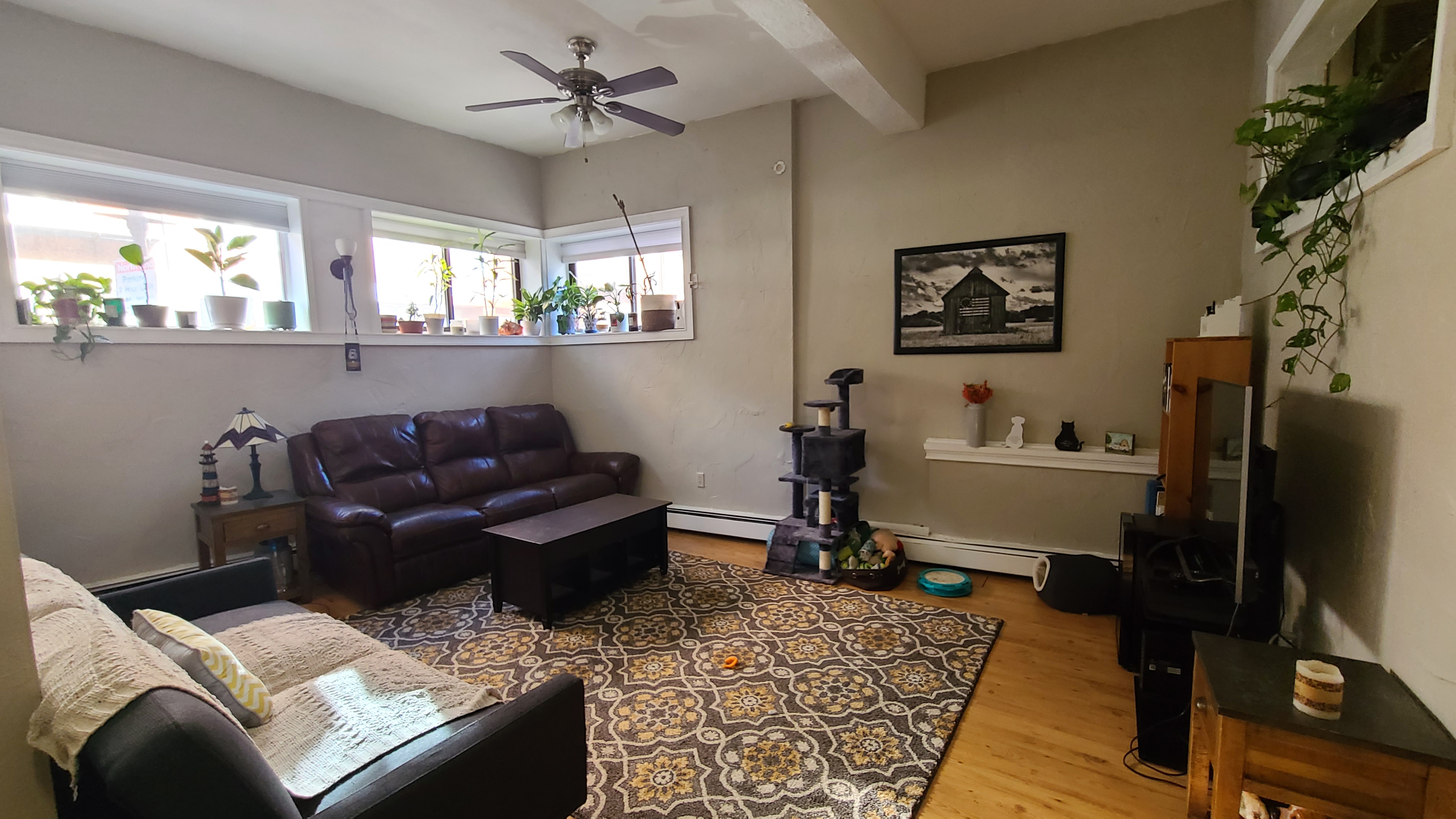1 bed, 1 bath apartment for rent at 5 Fleet St Unit 1, North End — photo 6 of 12