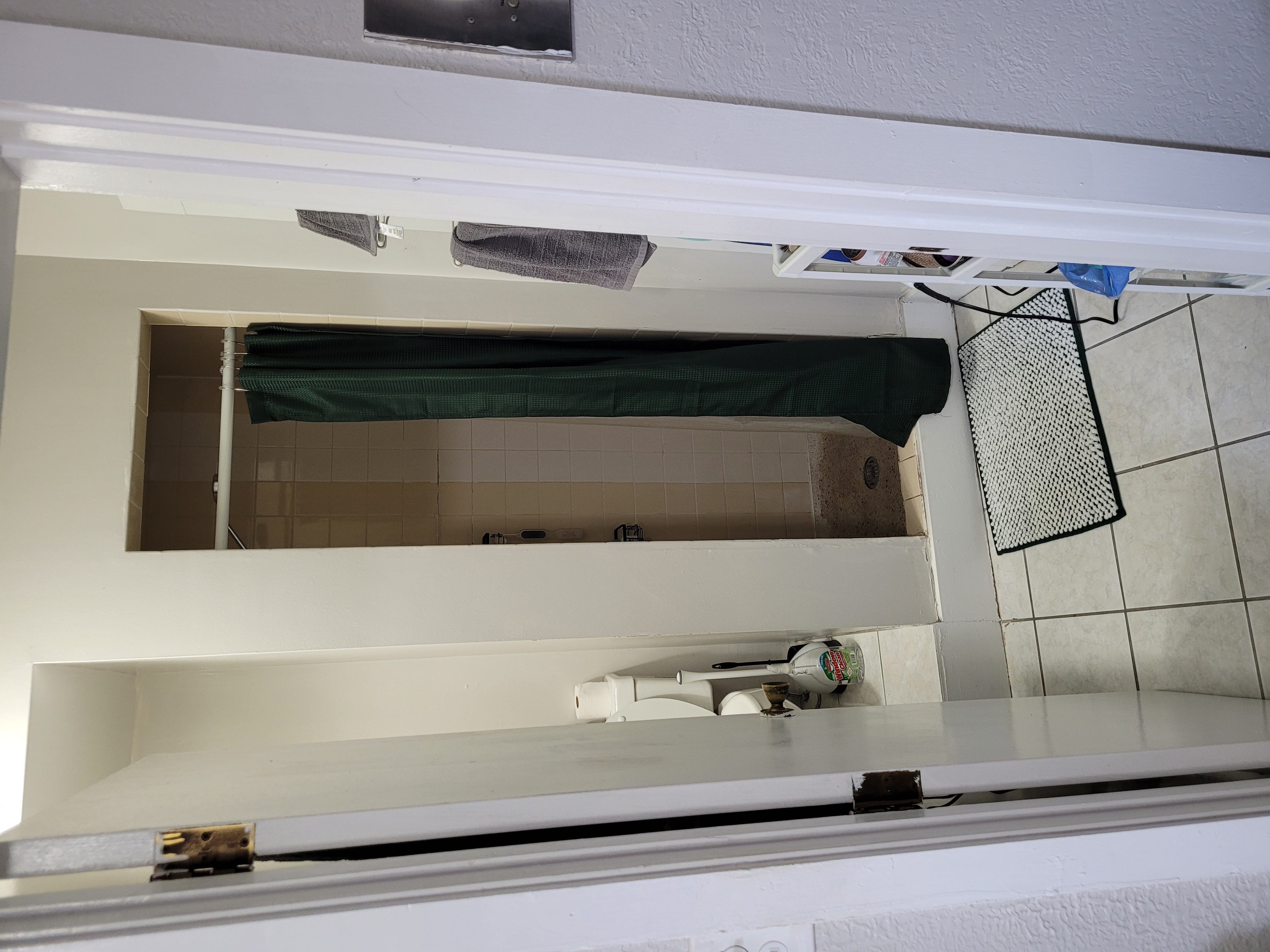 41 Anderson St, Beacon Hill