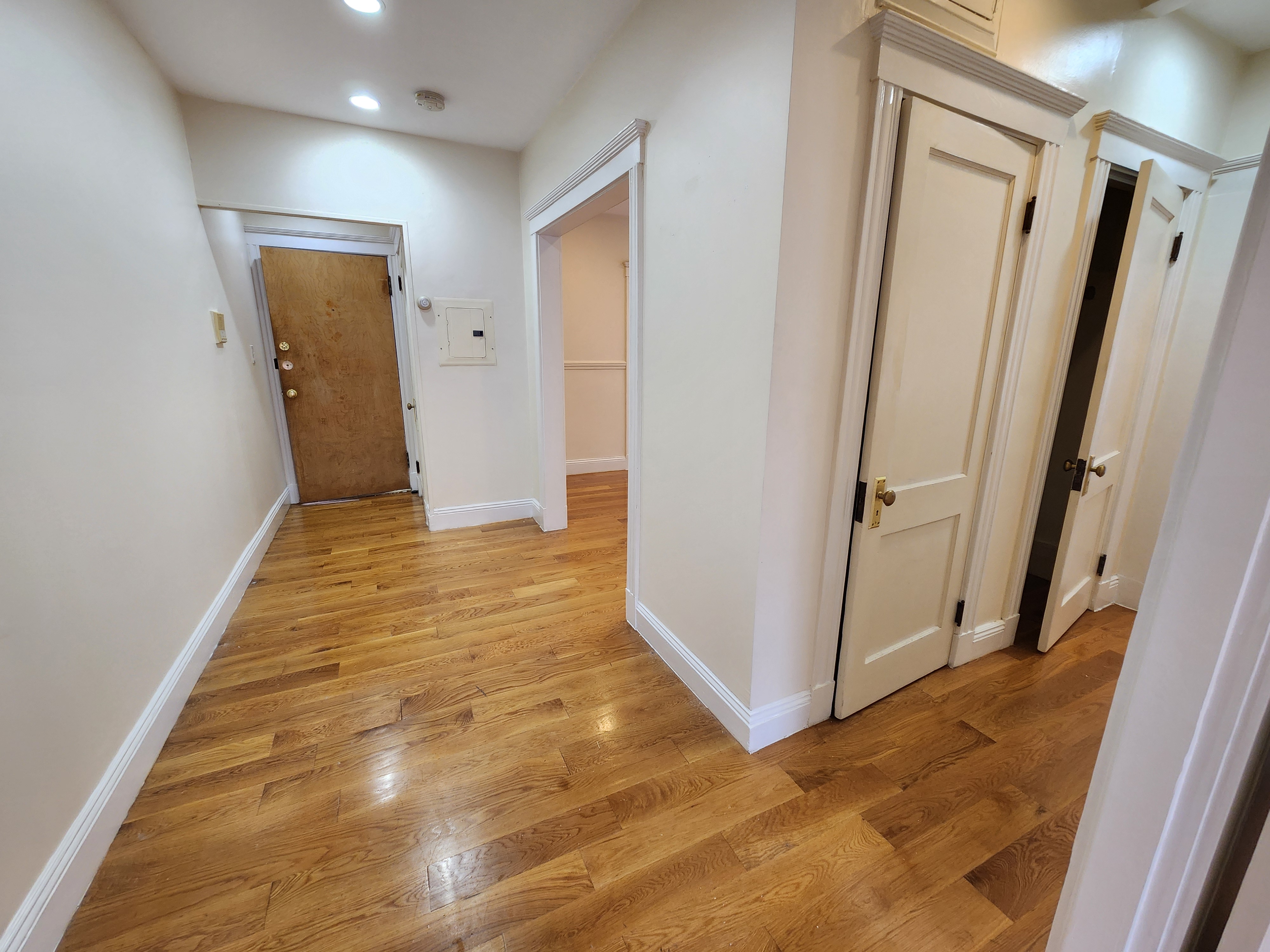 240 Kelton St, Brighton