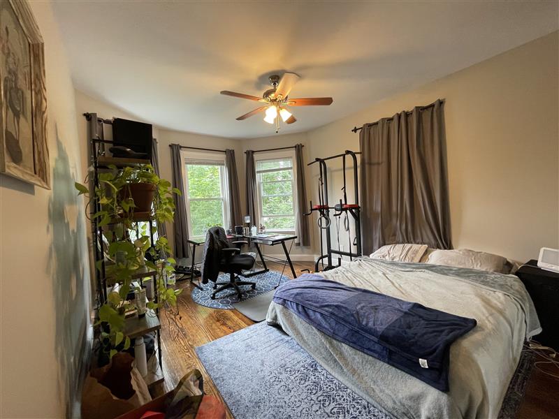 167 Hampshire St, Wellington-Harrington