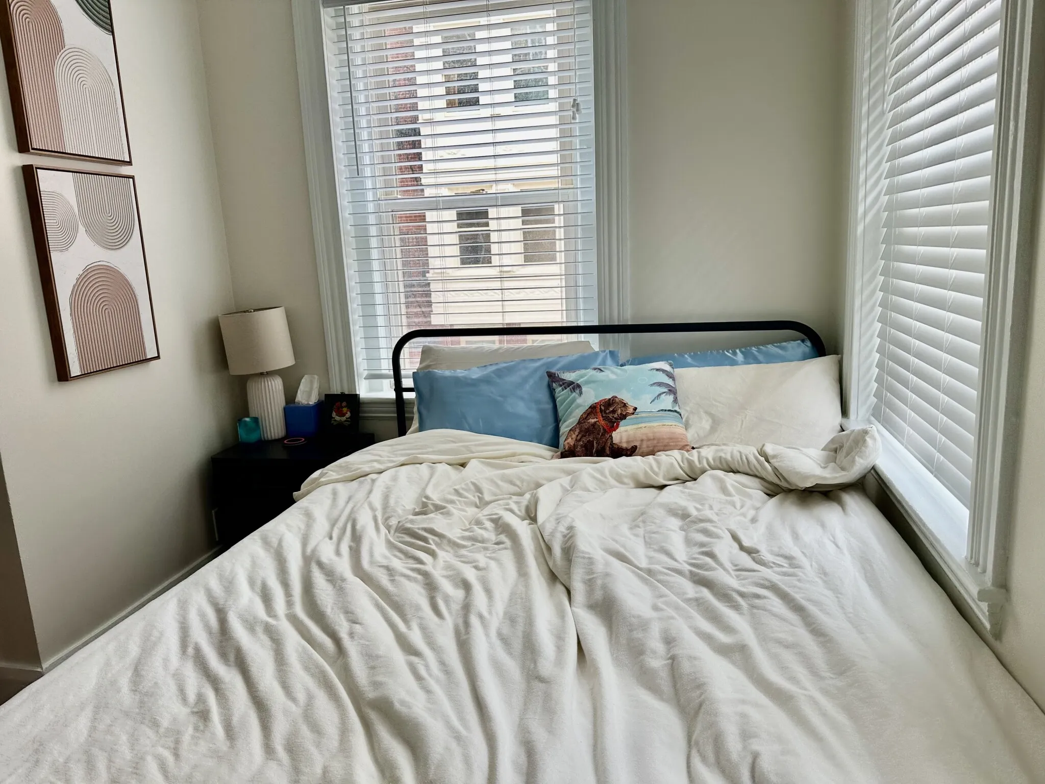 108 Myrtle St, Beacon Hill