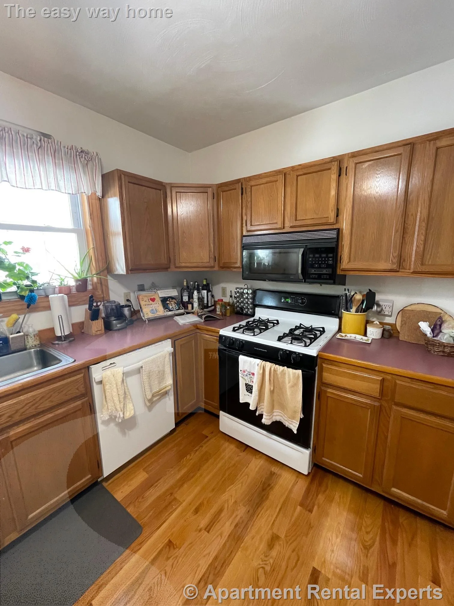 11 Ossipee Rd, Teele Square