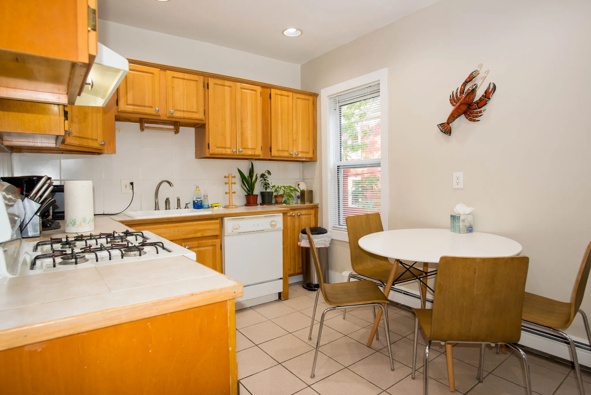 1 Torpie St, Mission Hill