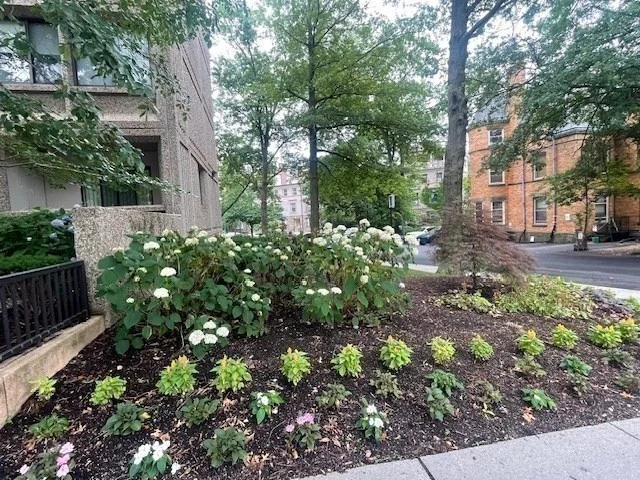 1731 Beacon St, Brookline