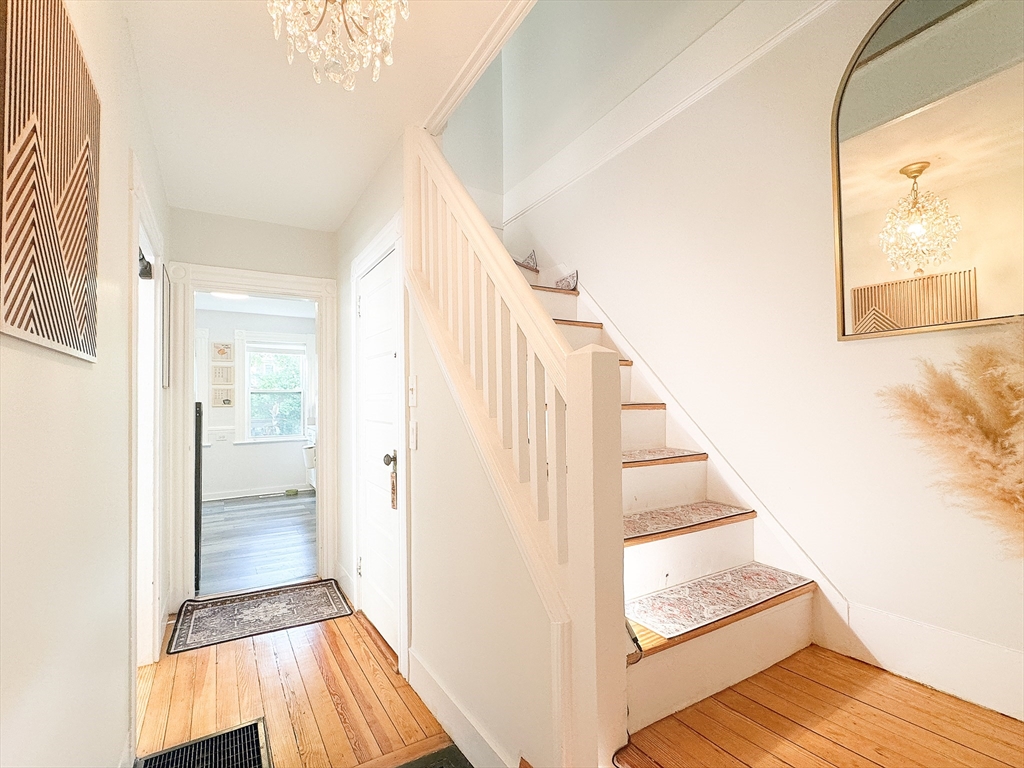 27 Shirley St, Lexington