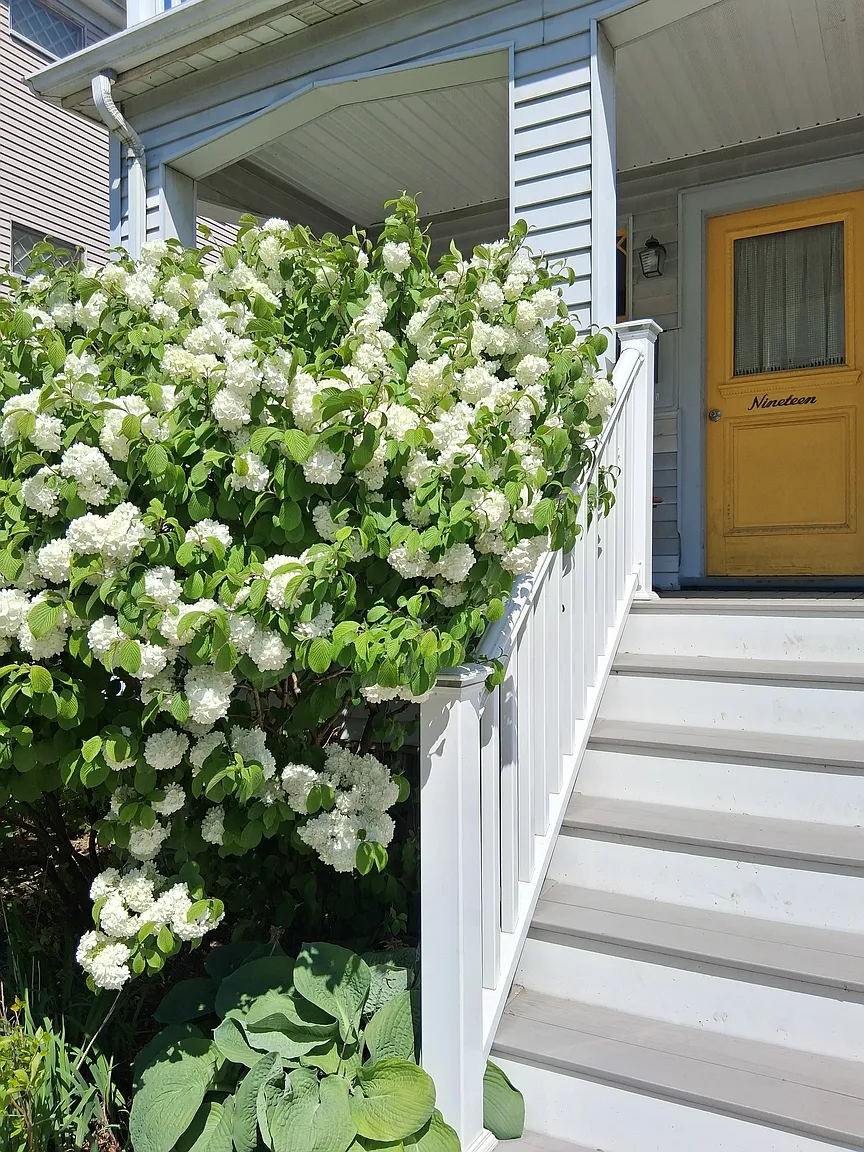 19 Edward Sullivan Rd, Strawberry Hill