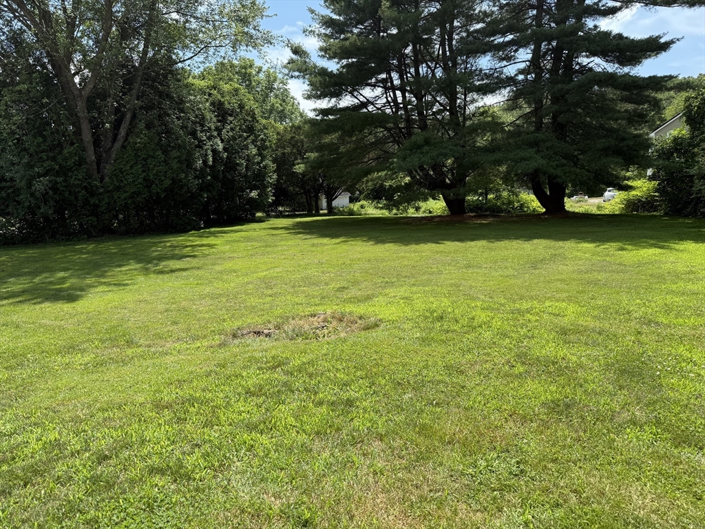 146 Hayden Rowe, Hopkinton