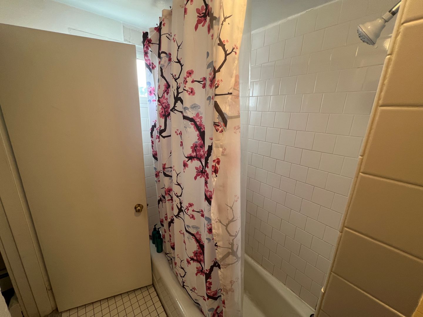 639 Somerville Ave, Spring Hill