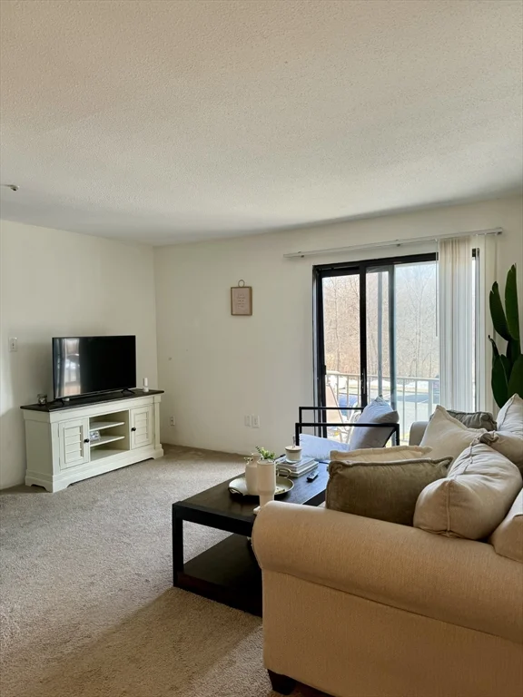 59 Village Brook Ln, Natick