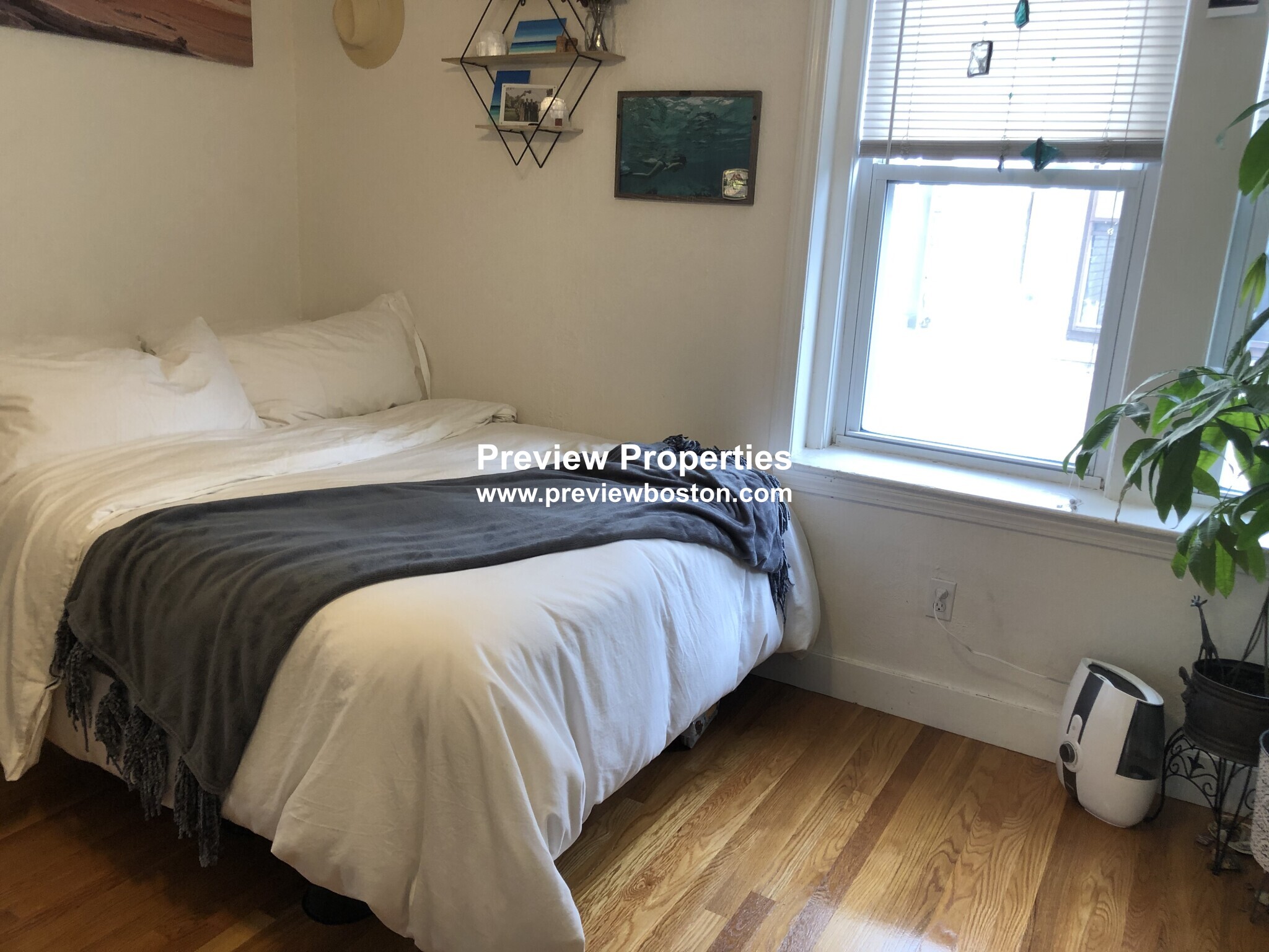 1750 Commonwealth Ave, Brighton