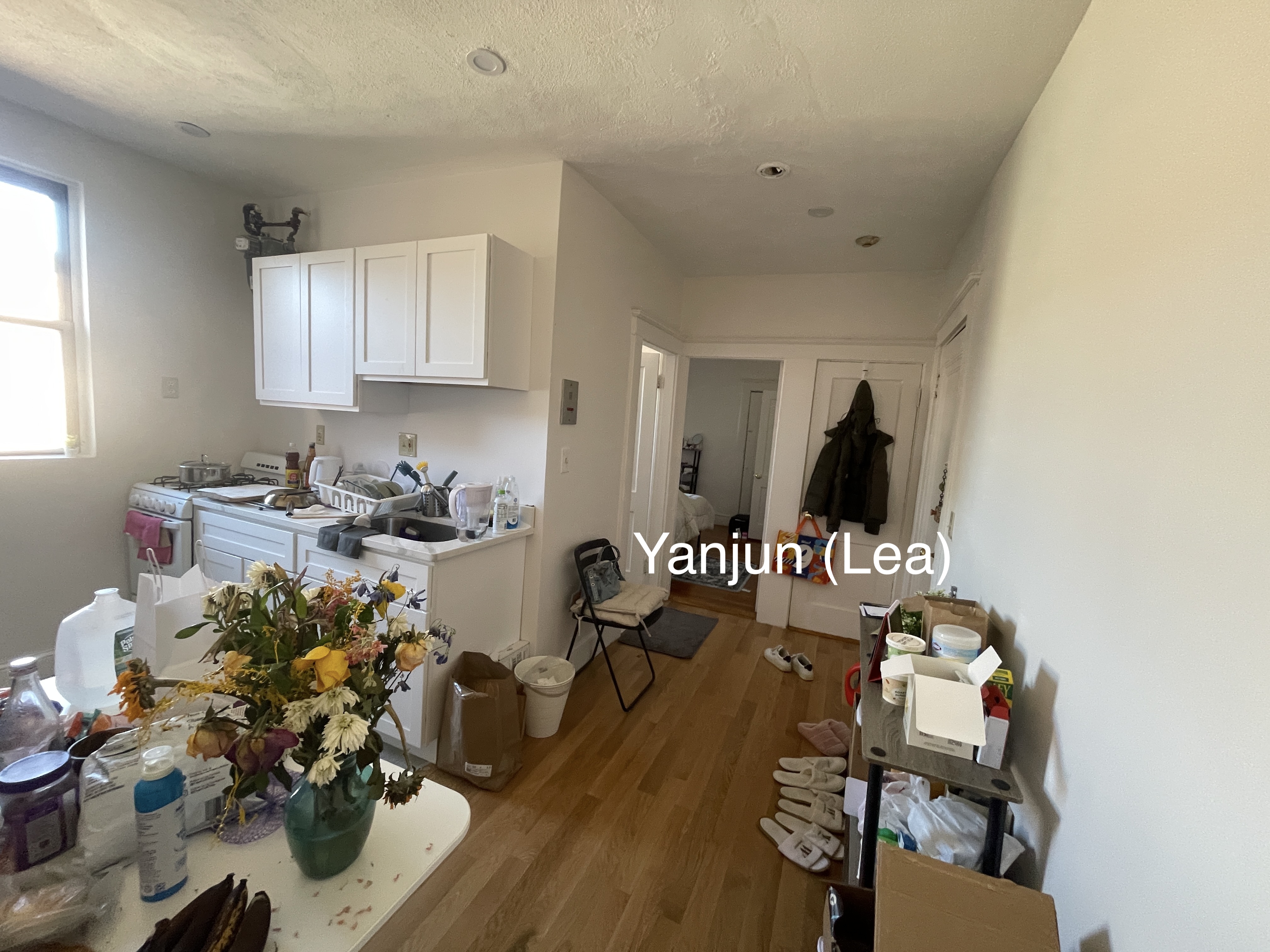 11 Scottfield Rd, Brighton