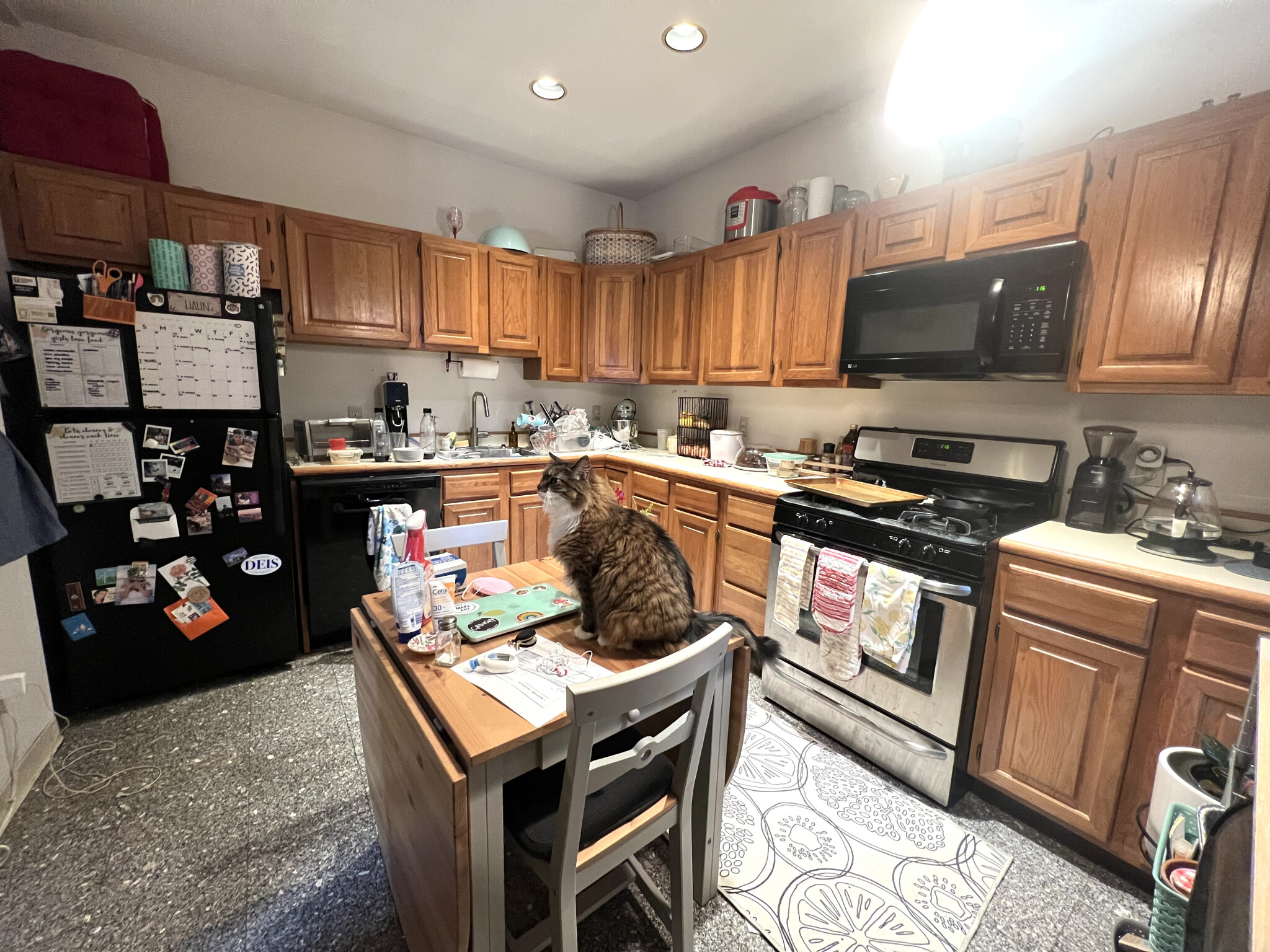 55 Lanark Rd, Brighton