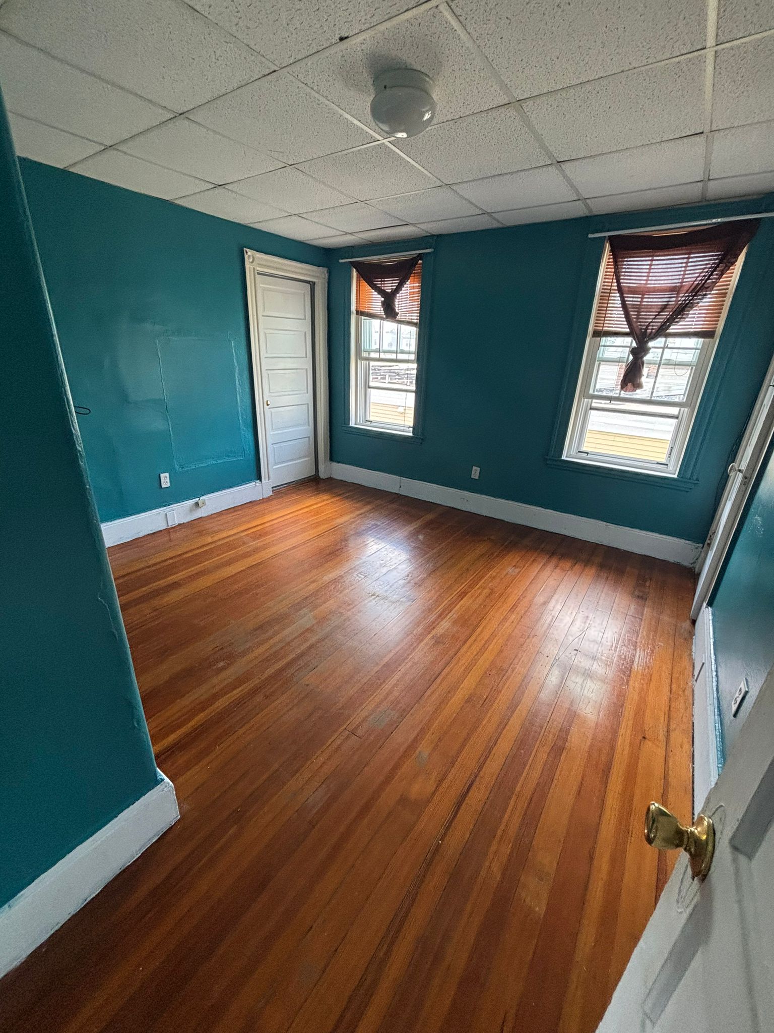 184 Congress Ave, Chelsea