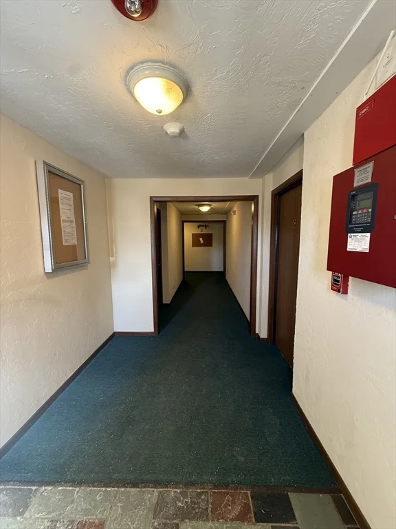 151 Providence Rd, Grafton