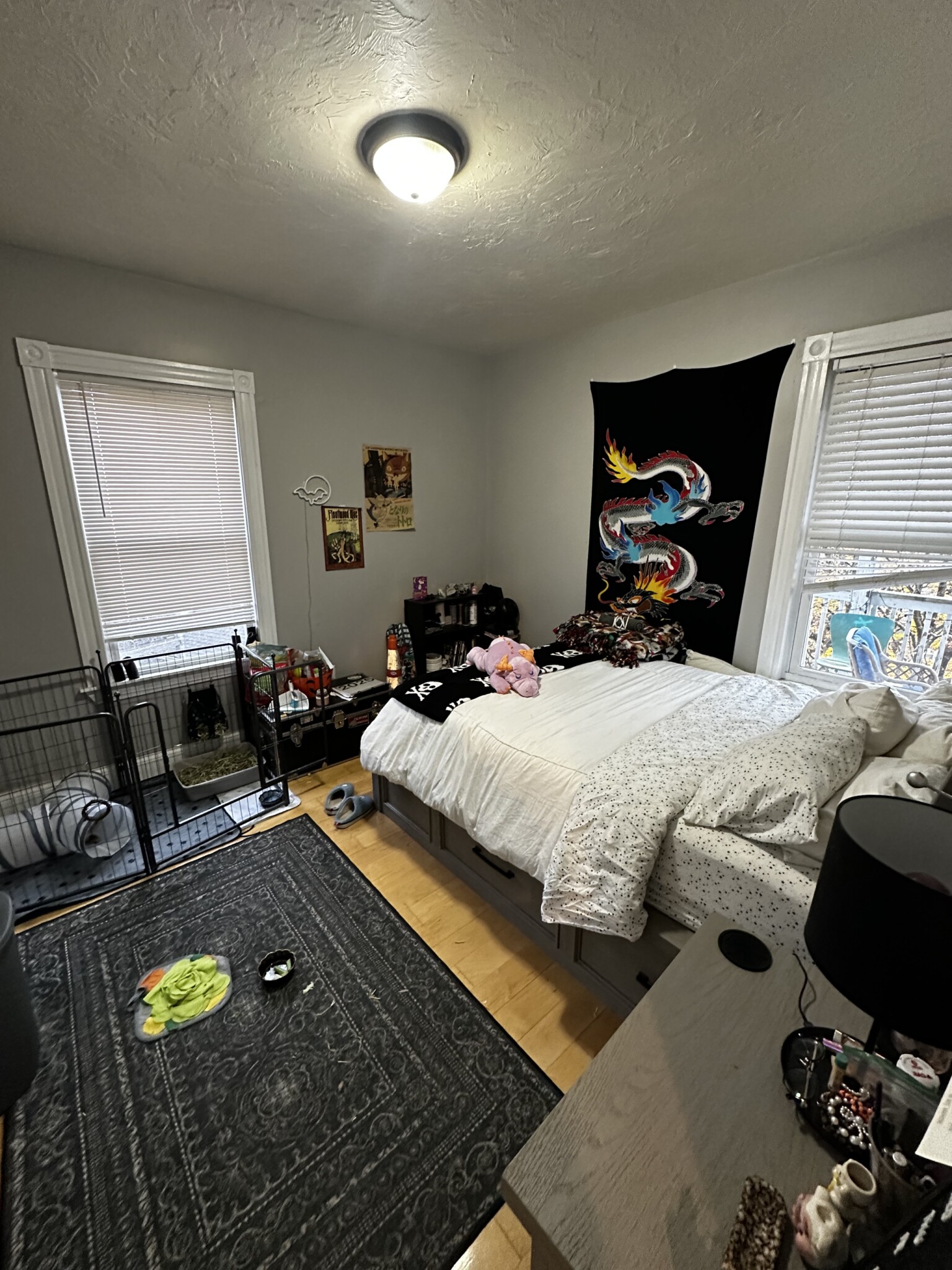 20 Lawn St, Mission Hill