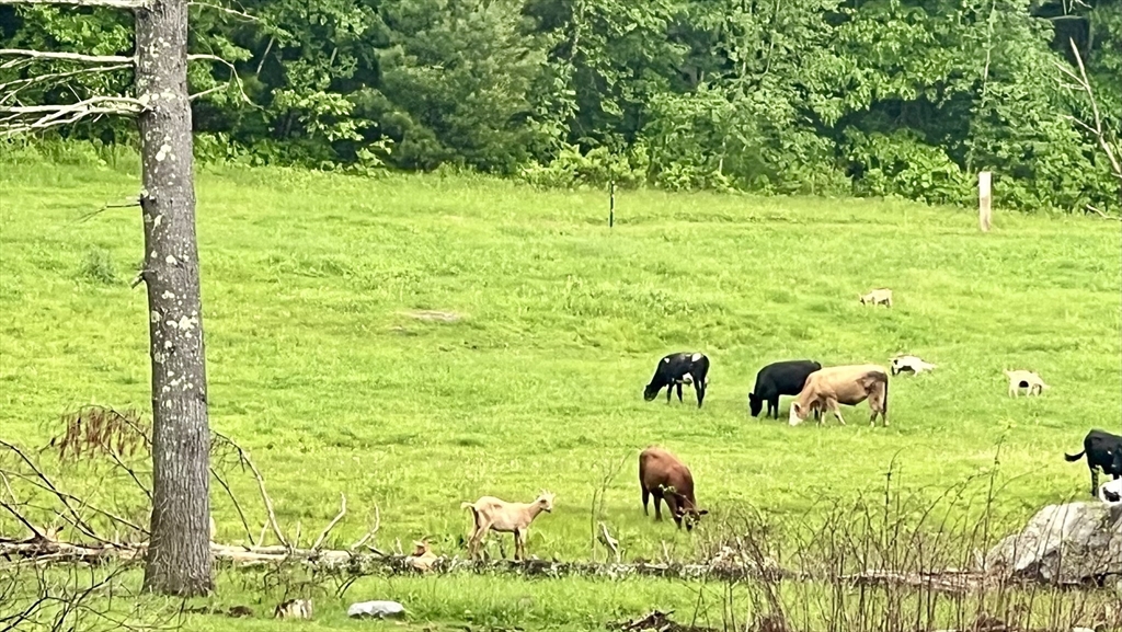 103 Main St, Pepperell