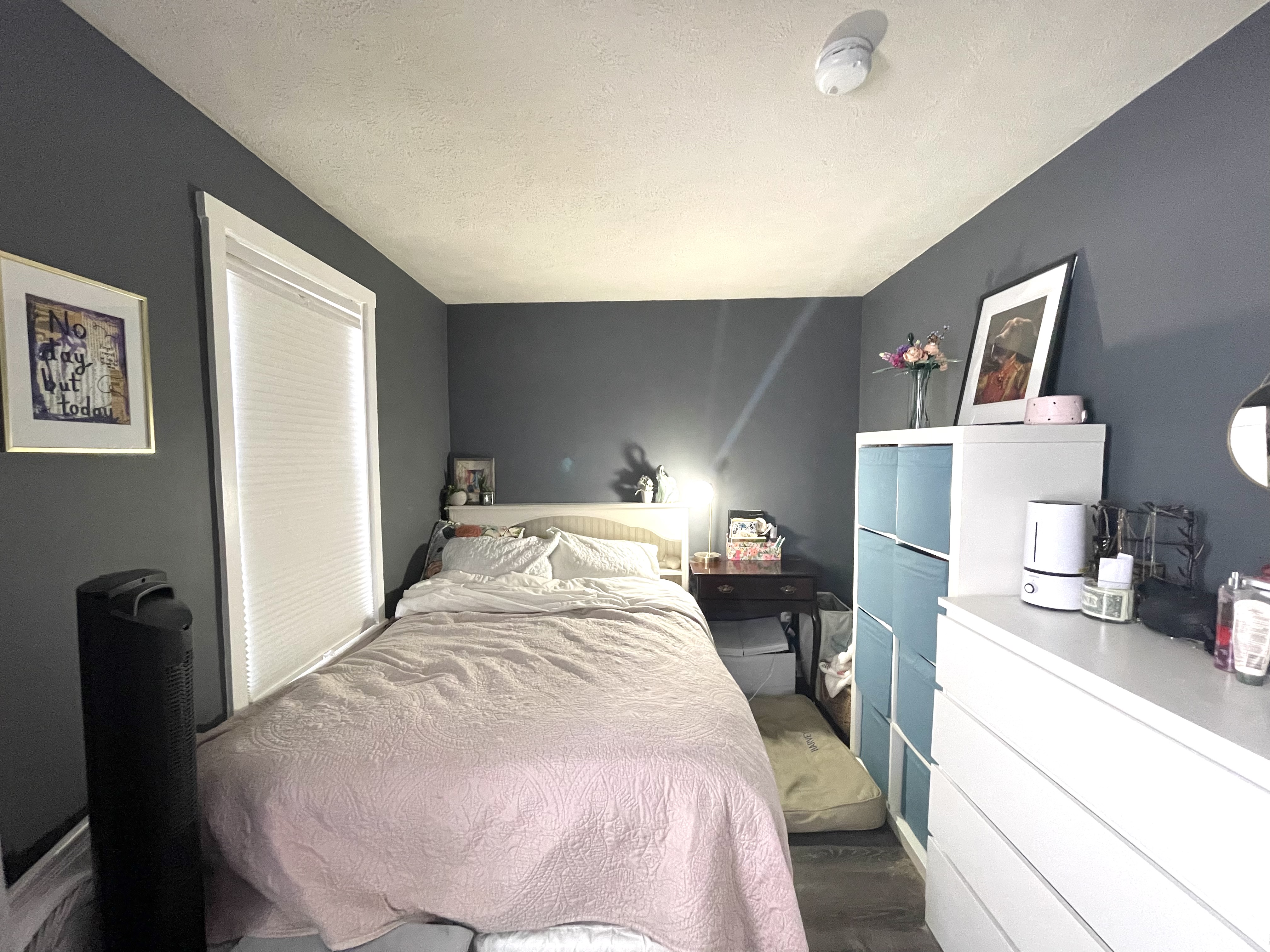 1 bed, 1 bath apartment for rent at 527 3rd St Unit 2F, South Boston — photo 4 of 5