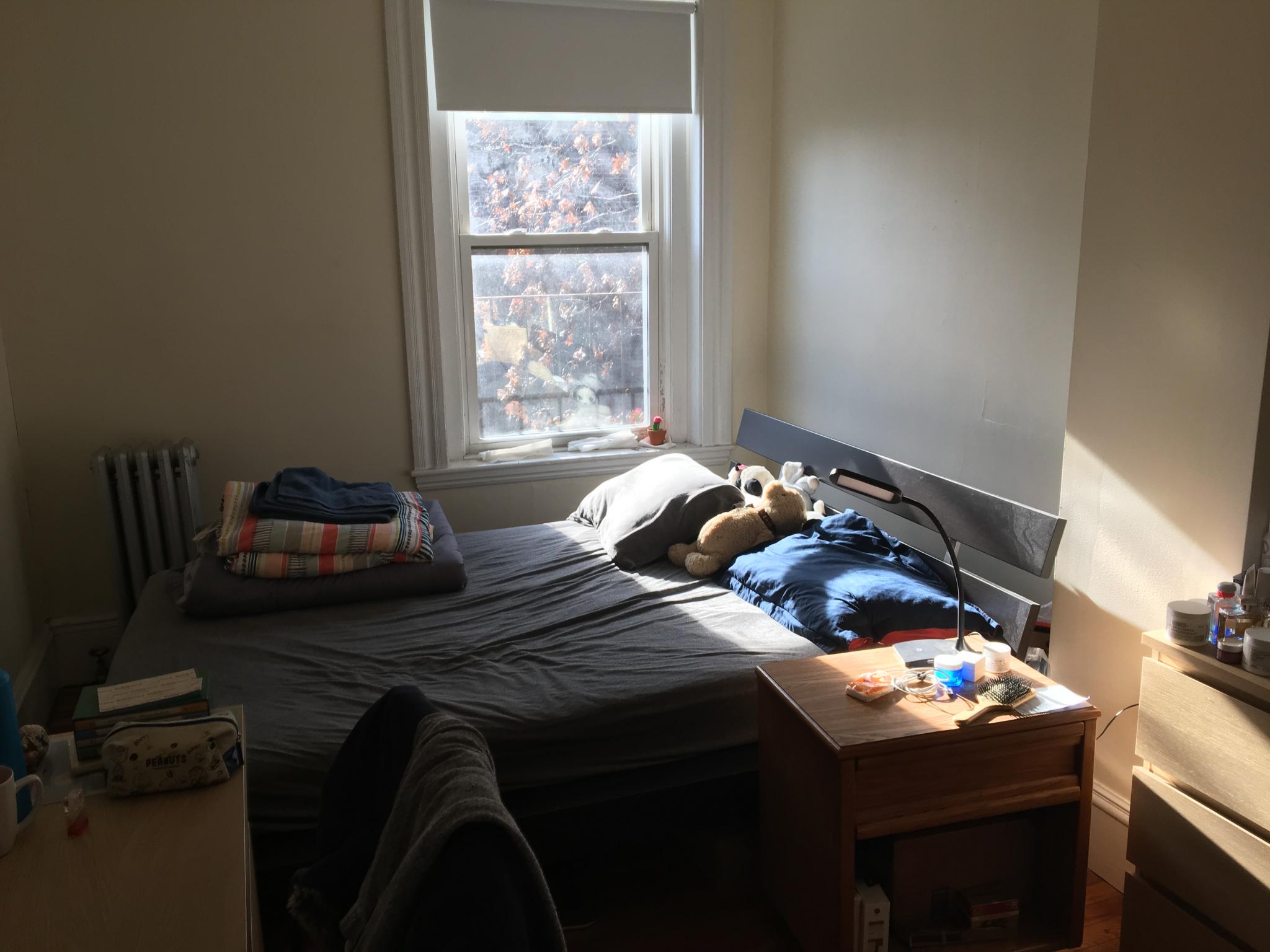 6 Symphony Rd, Fenway