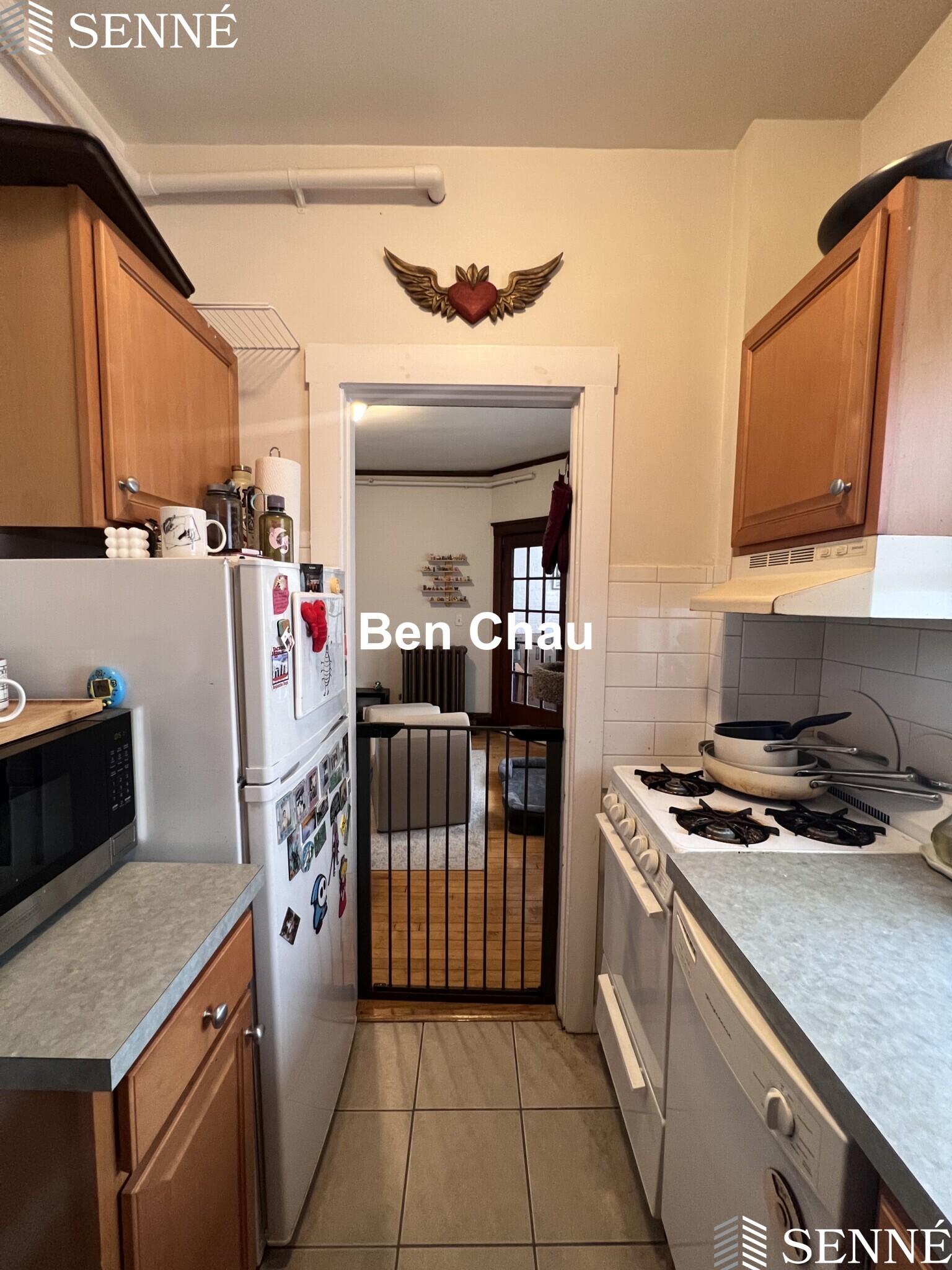 3 Linnaean St, Neighborhood Nine