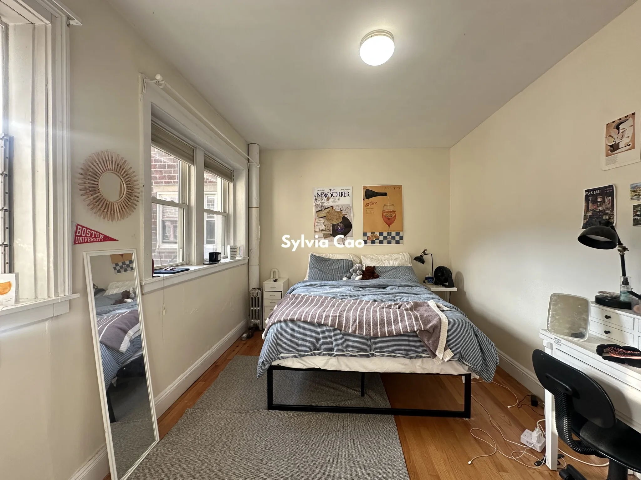 54 Egmont St, North Brookline