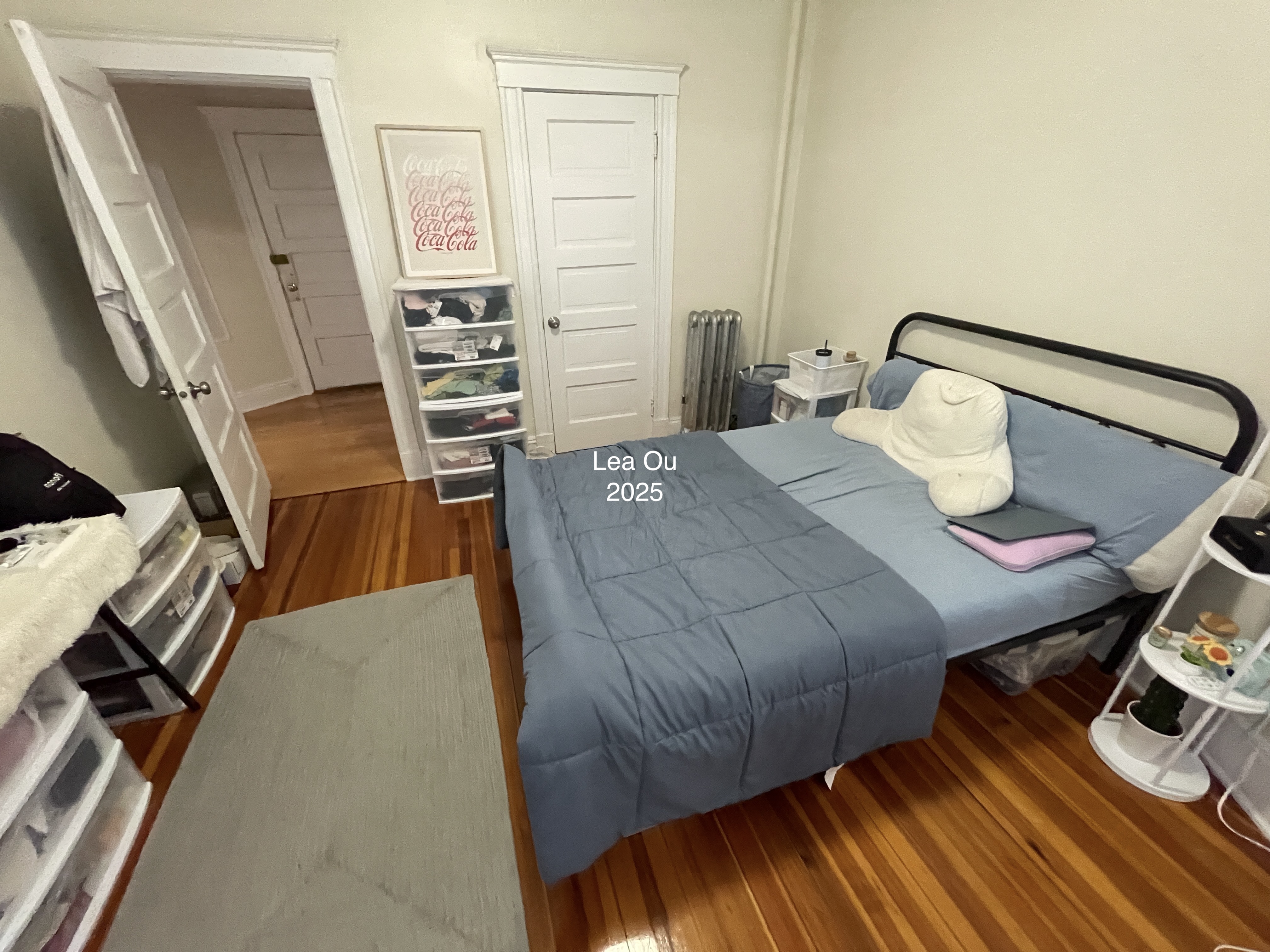 7 Mount Hood Rd, Brighton