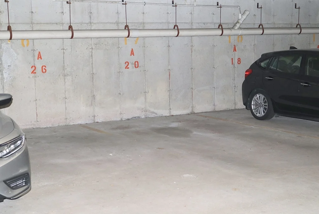 205 Richdale Ave, Neighborhood Nine