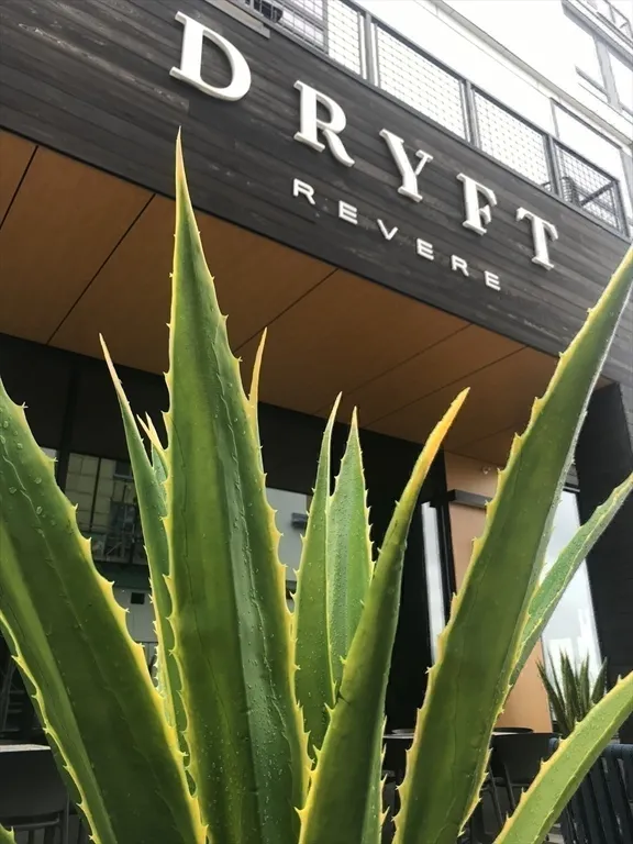 376 Ocean Ave, Revere Beach