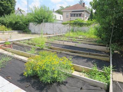 252 Harvard St, South Medford