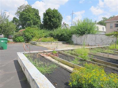 252 Harvard St, South Medford