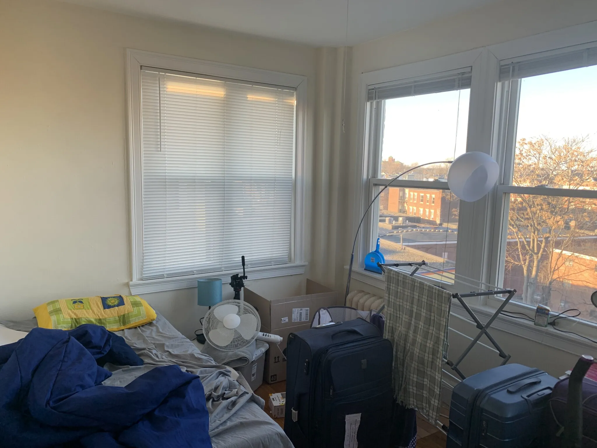 244 Kelton St, Brighton