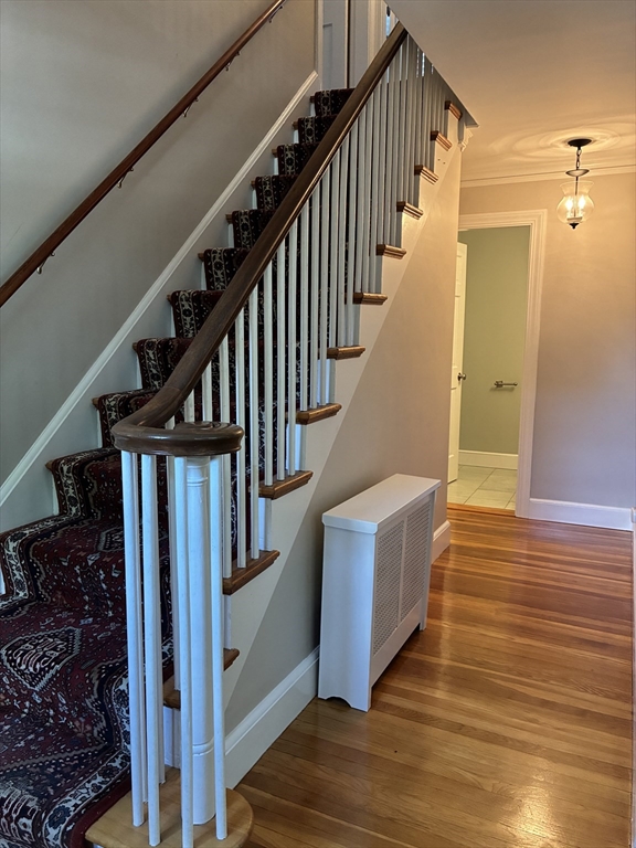 74 Munroe St, Belmont