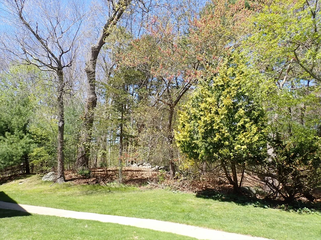 51 Jacqueline Rd, Waltham